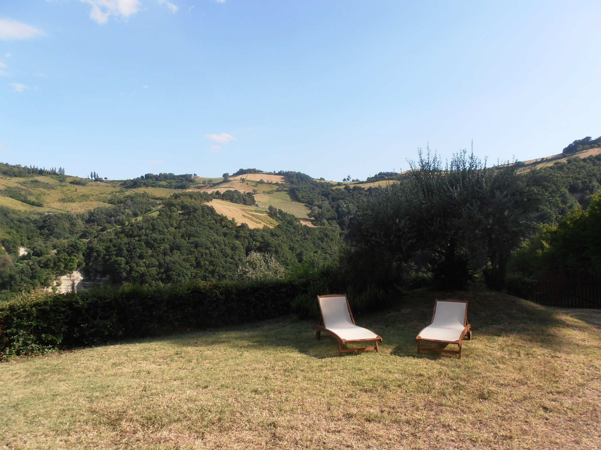   Il Glicine