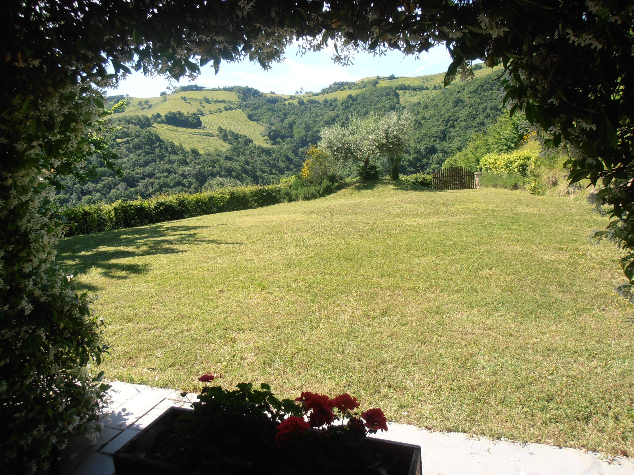   Il Glicine