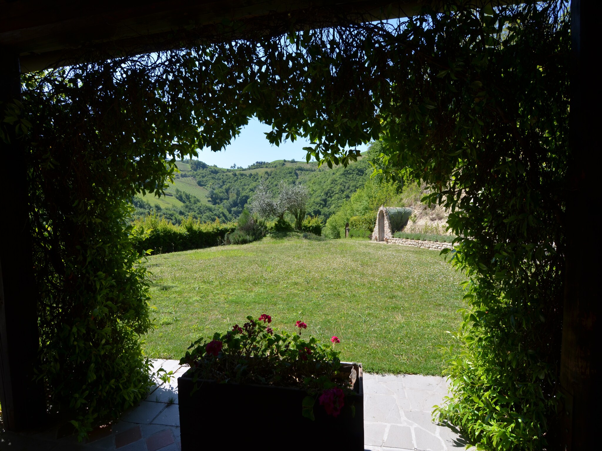   Il Glicine