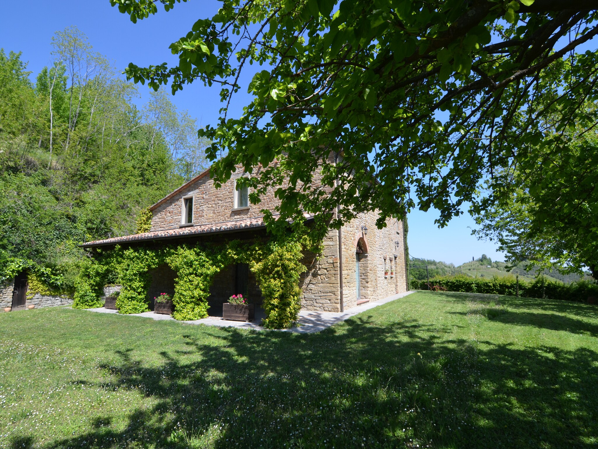   Il Glicine