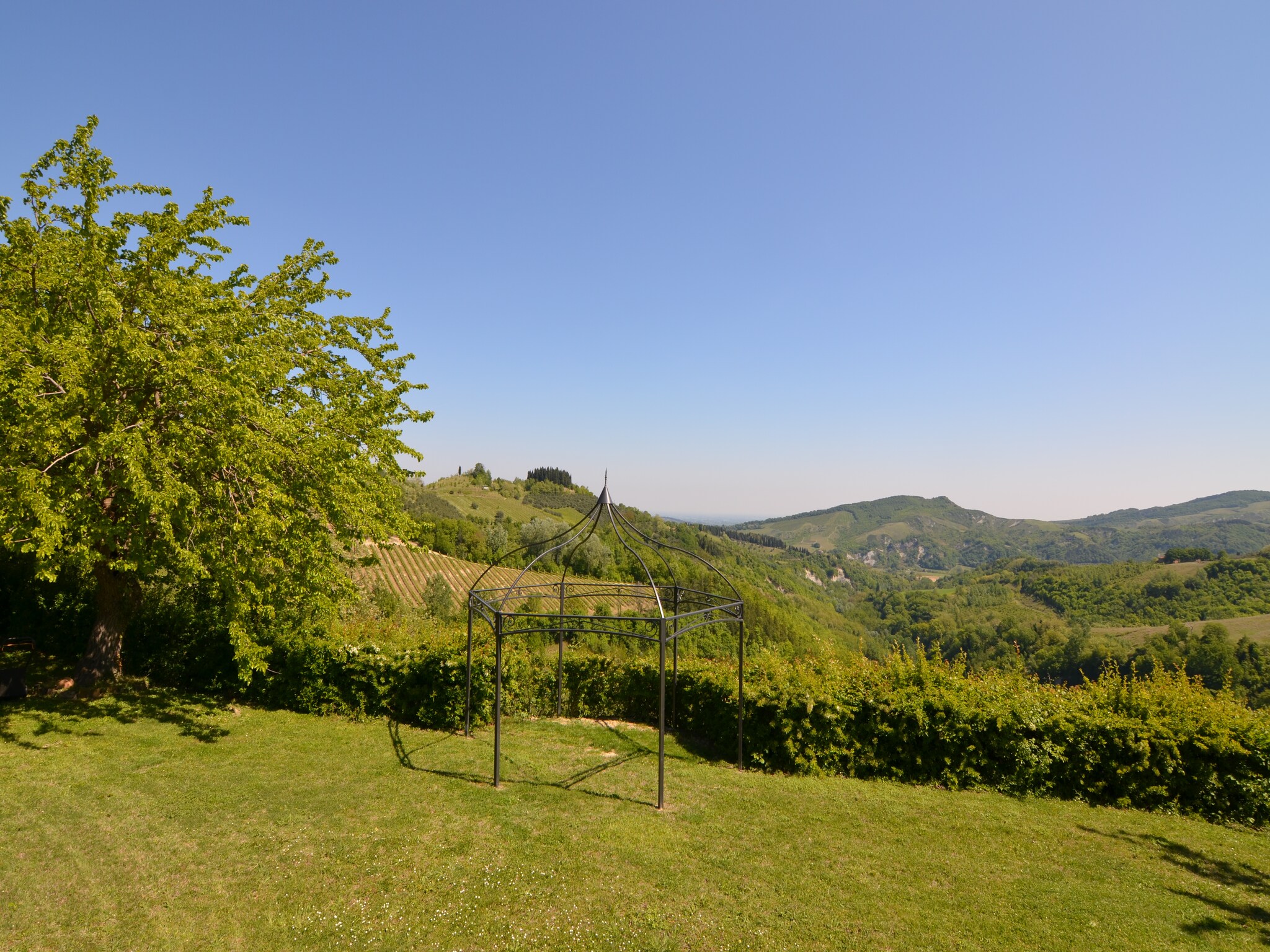   Il Glicine