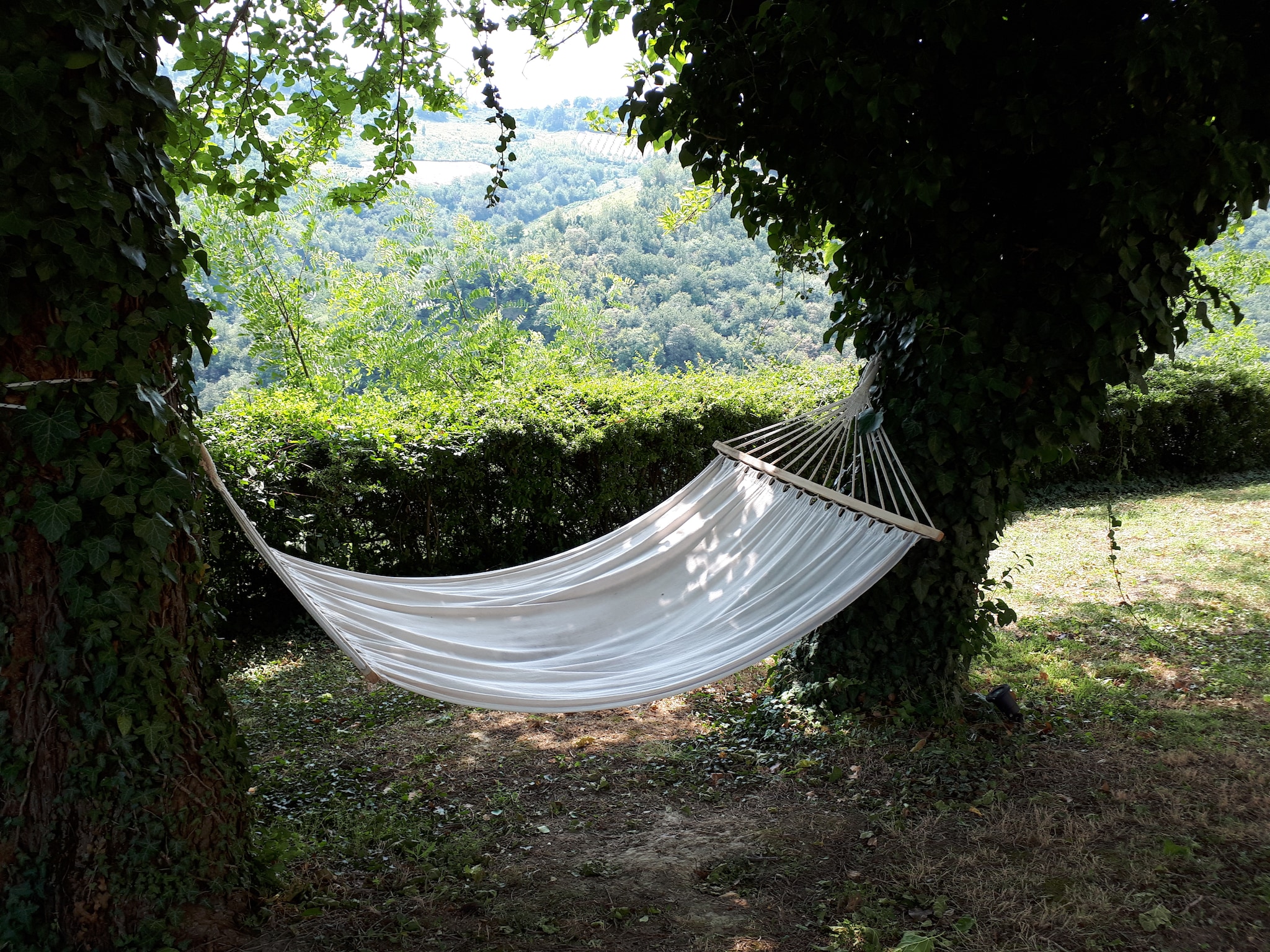   Il Glicine