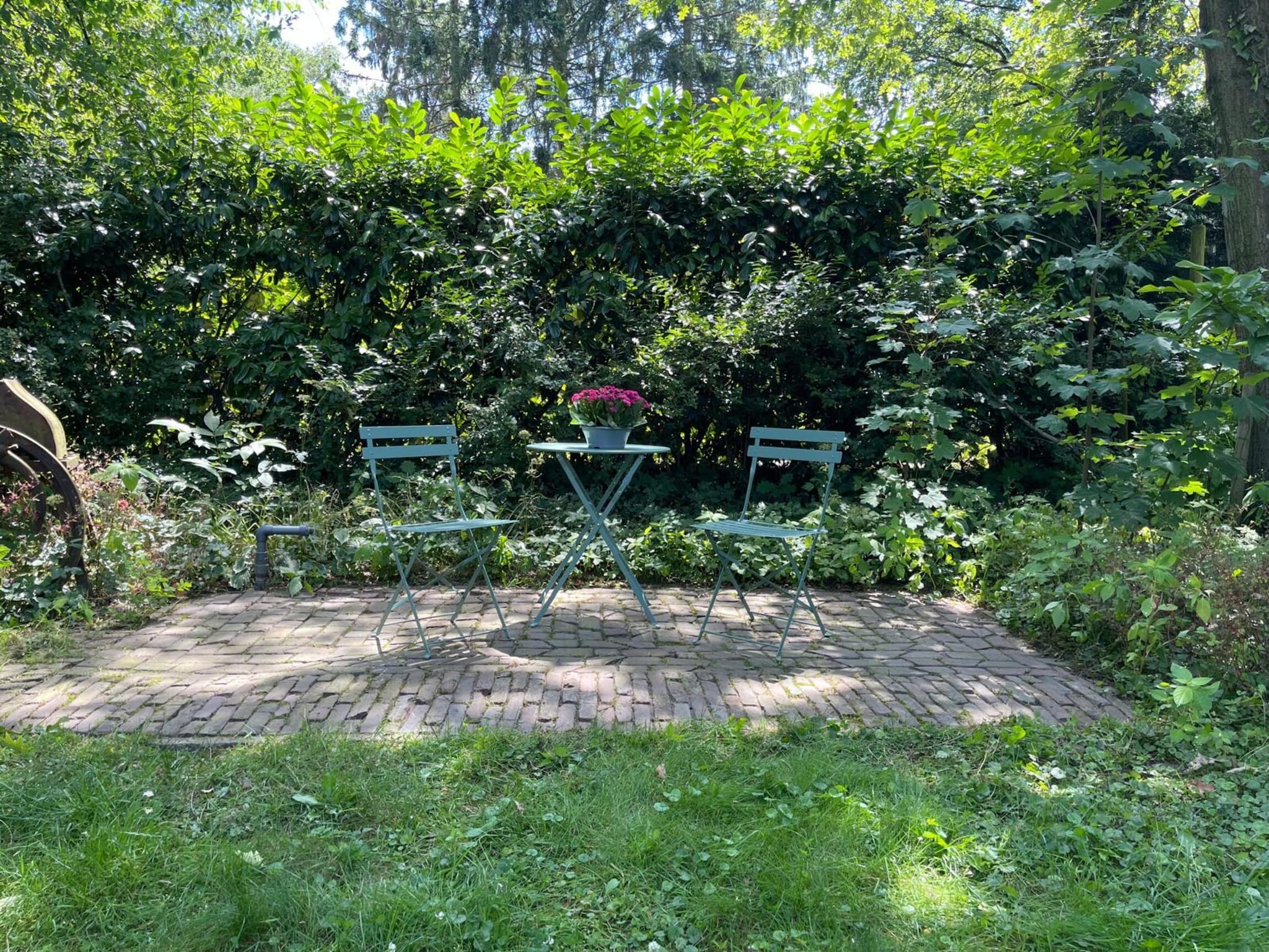   Het Zonnetje