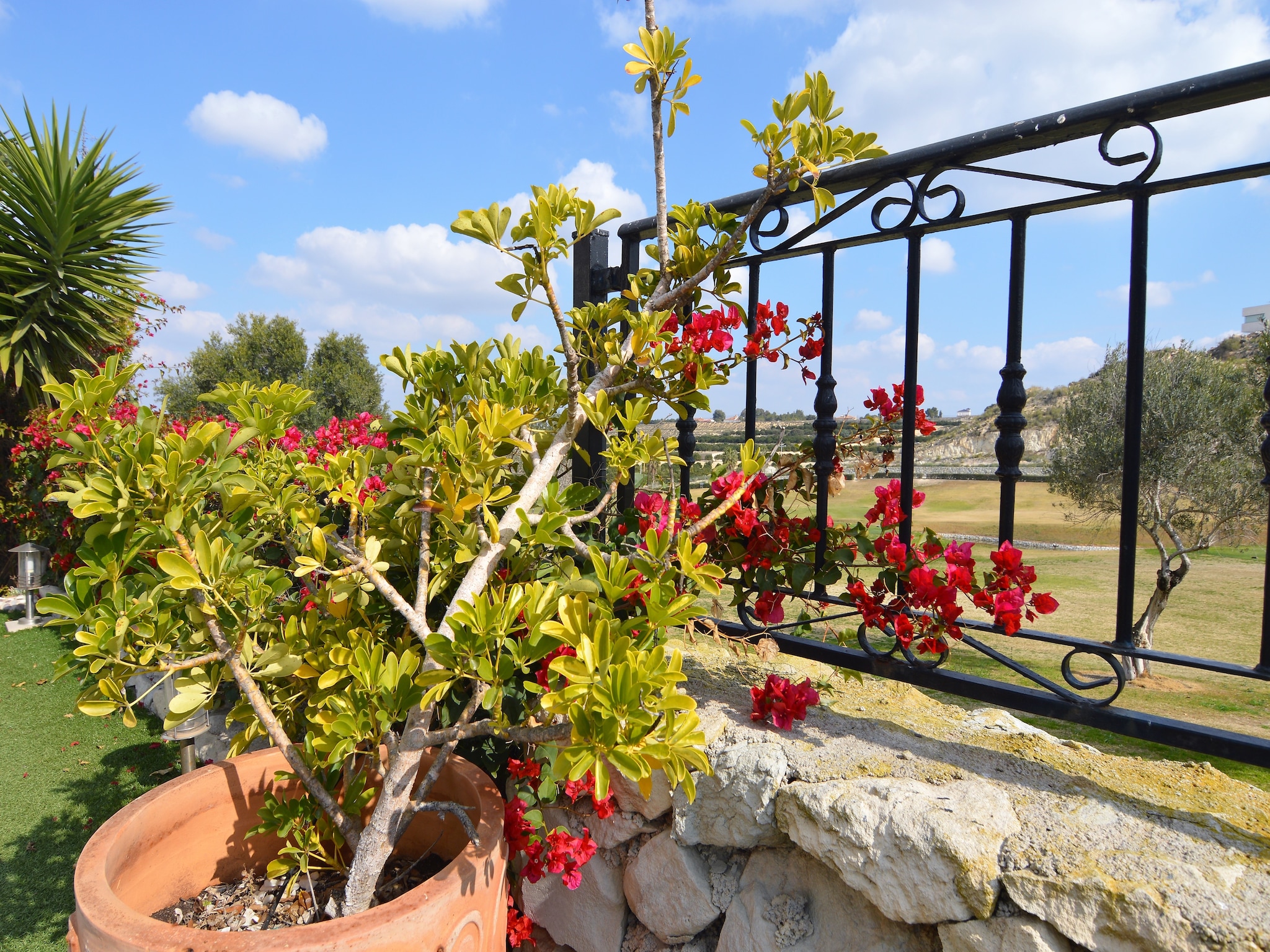Holiday home Villa Orange
