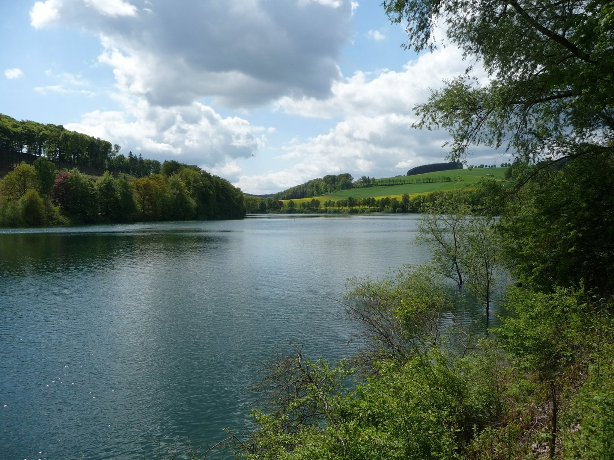 Apartment Wilzenberg
