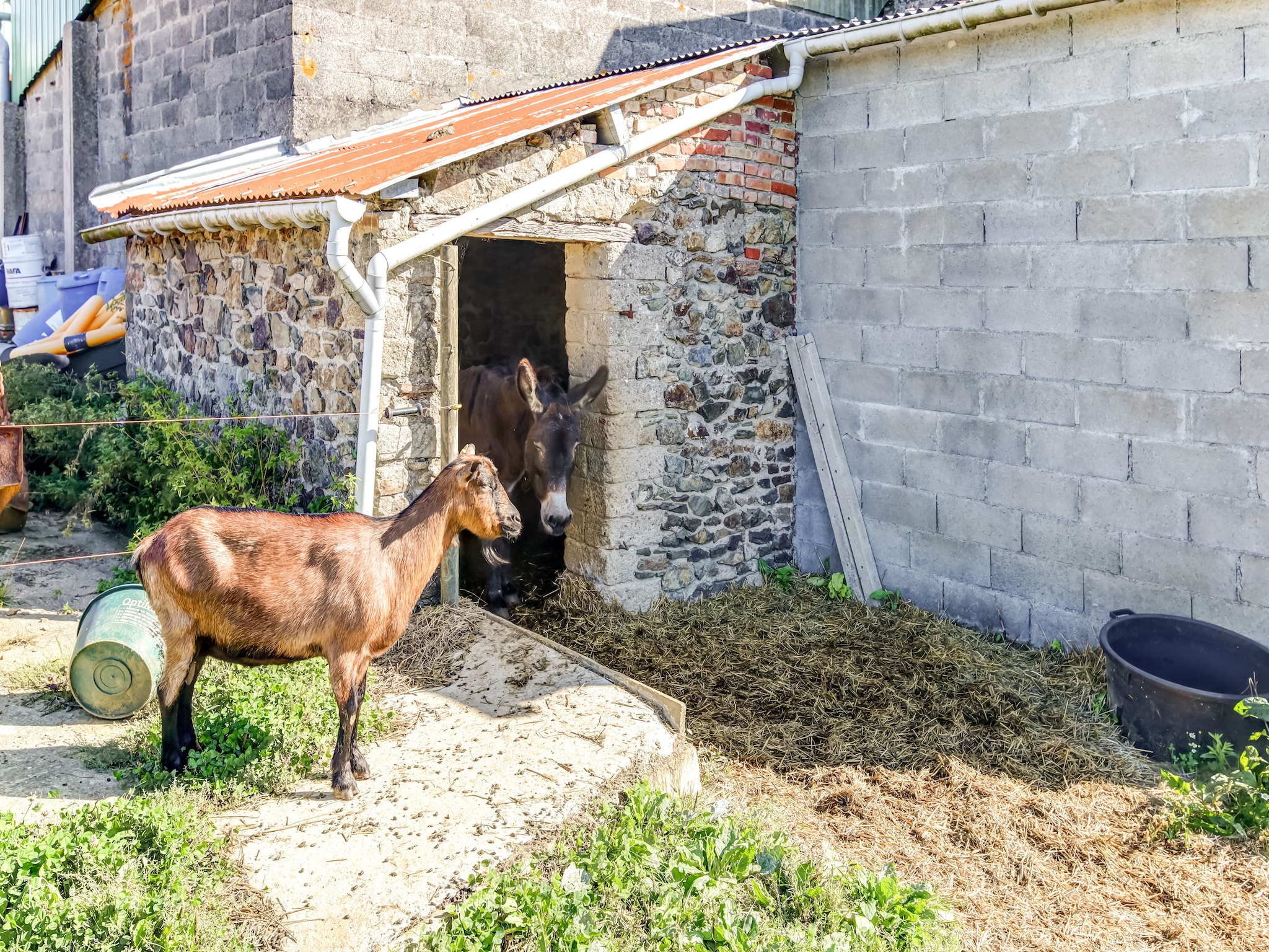   Maison de vacances - BRAINVILLE
