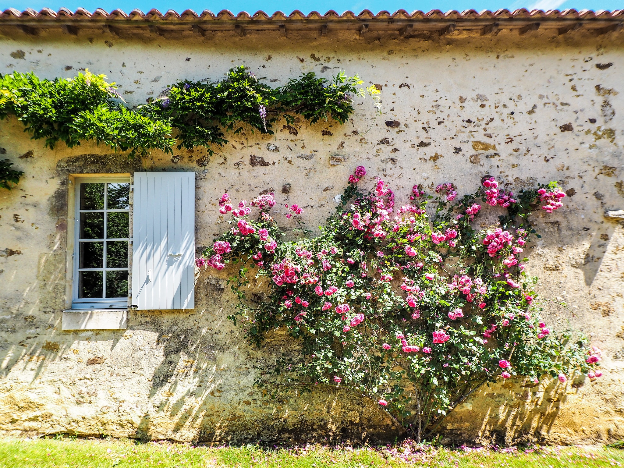   L'Orangerie
