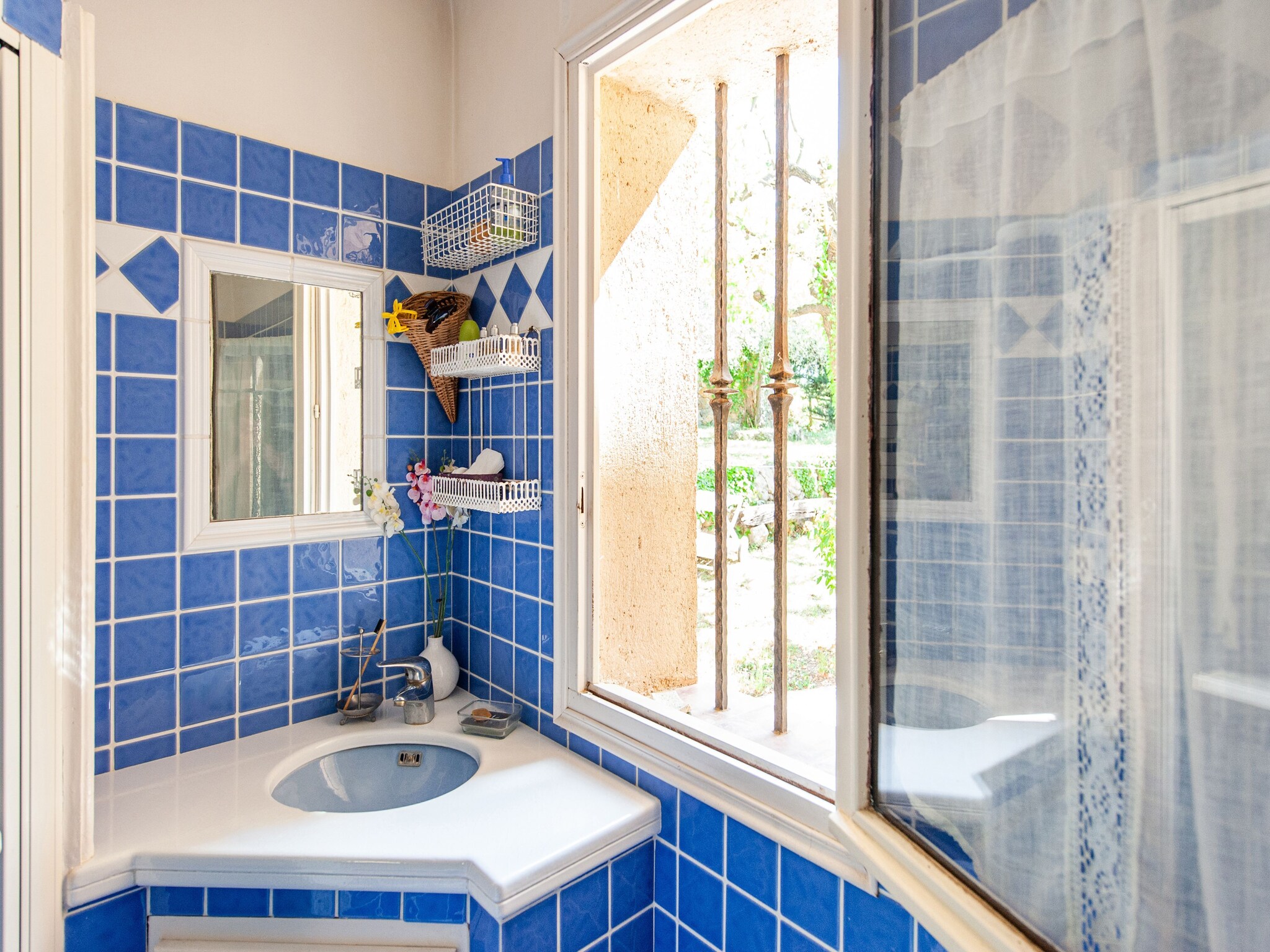 Vakantiehuis Mougins