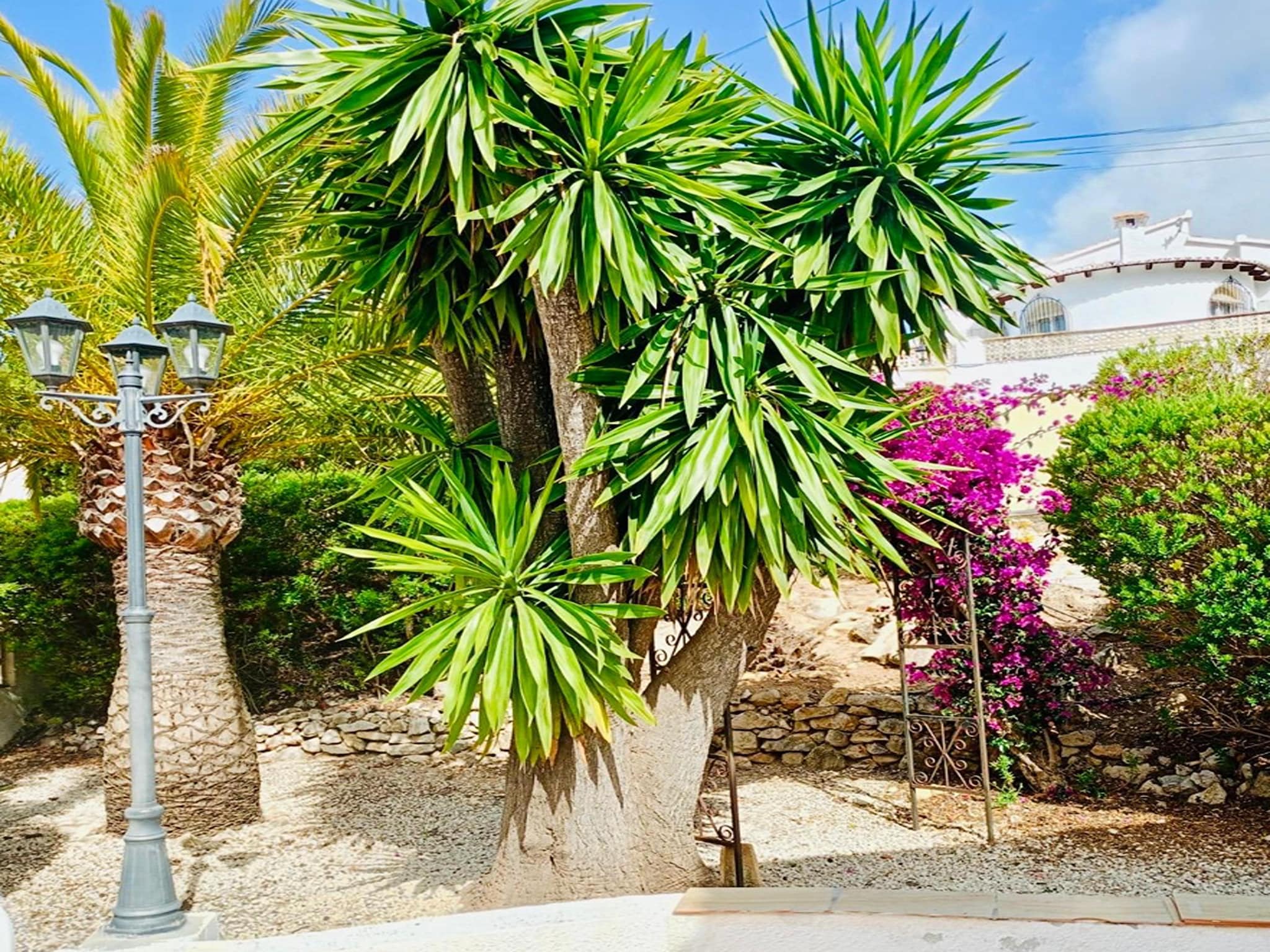 Holiday home Casa Alegria
