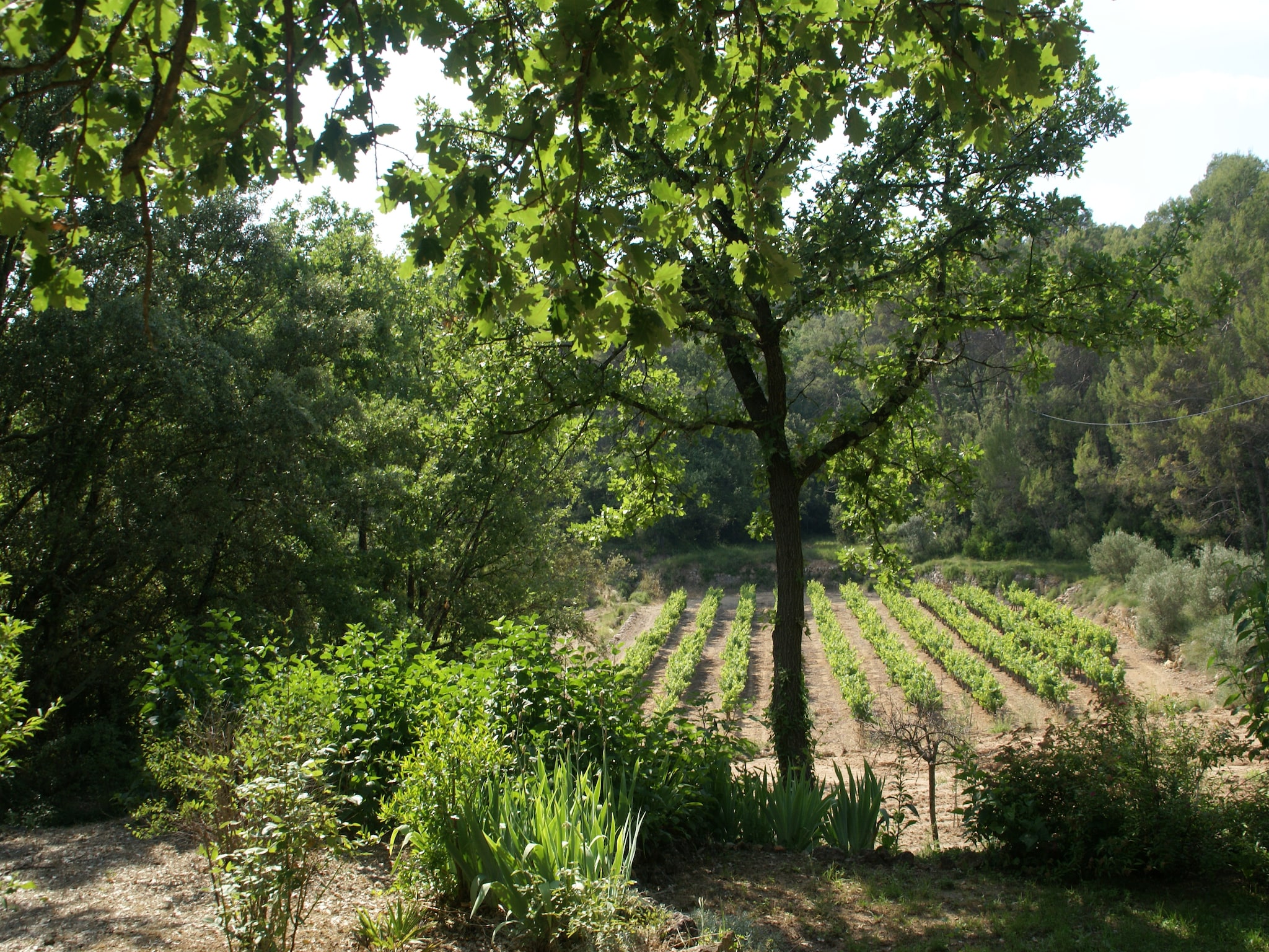 Feriebolig Villa - ENTRECASTEAUX