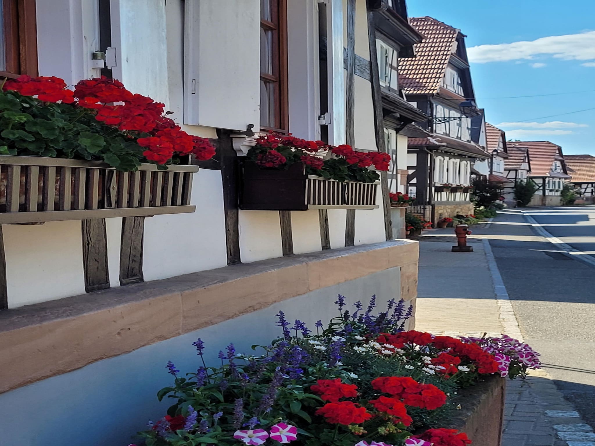   Maison de vacances - SCHLEITHAL