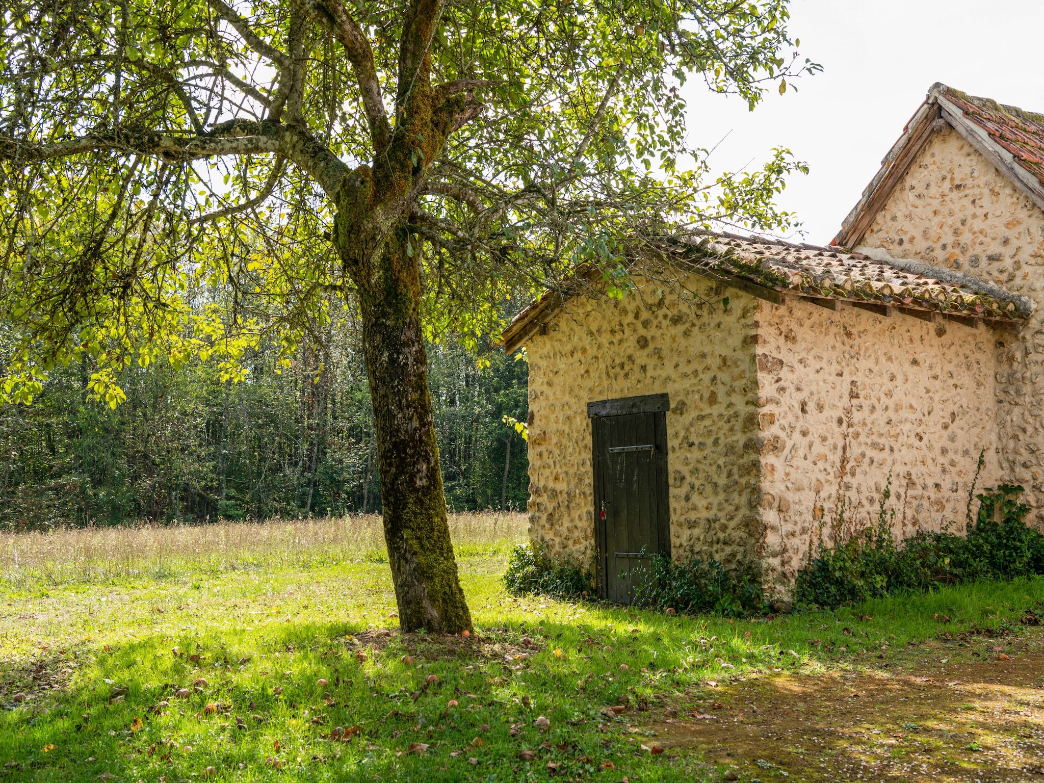   Cendrieux