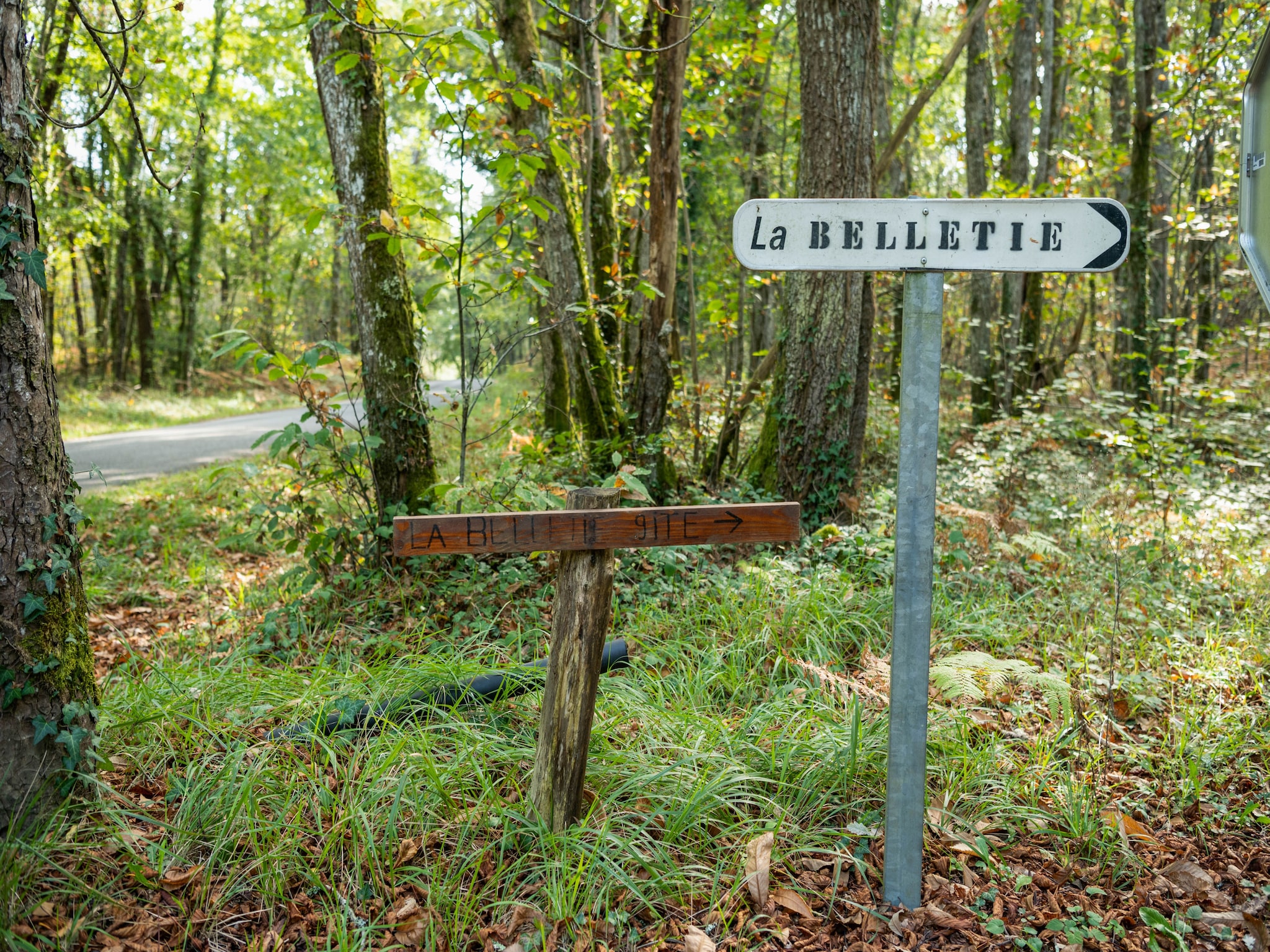   Cendrieux