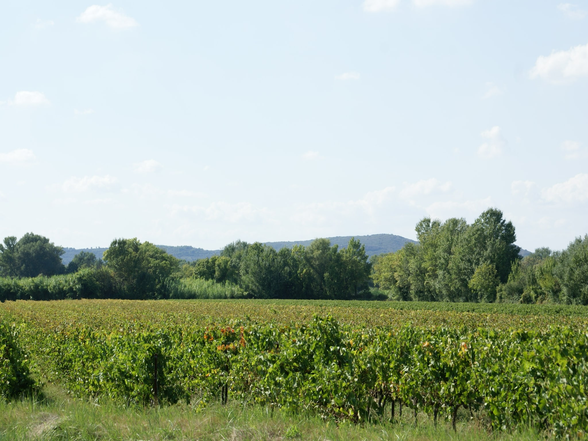 Holiday home Maison de vacances - MONTFRIN