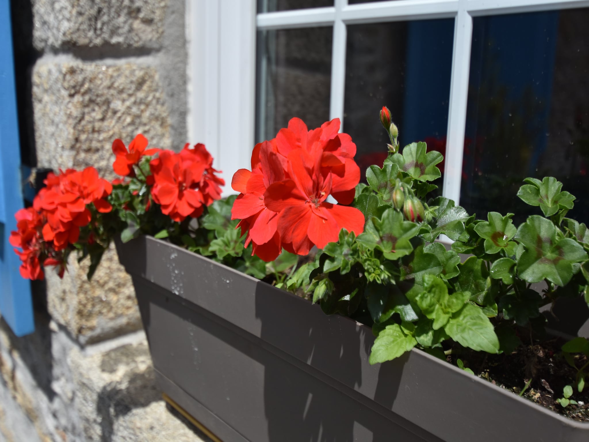   Maison de vacances Plouhinec
