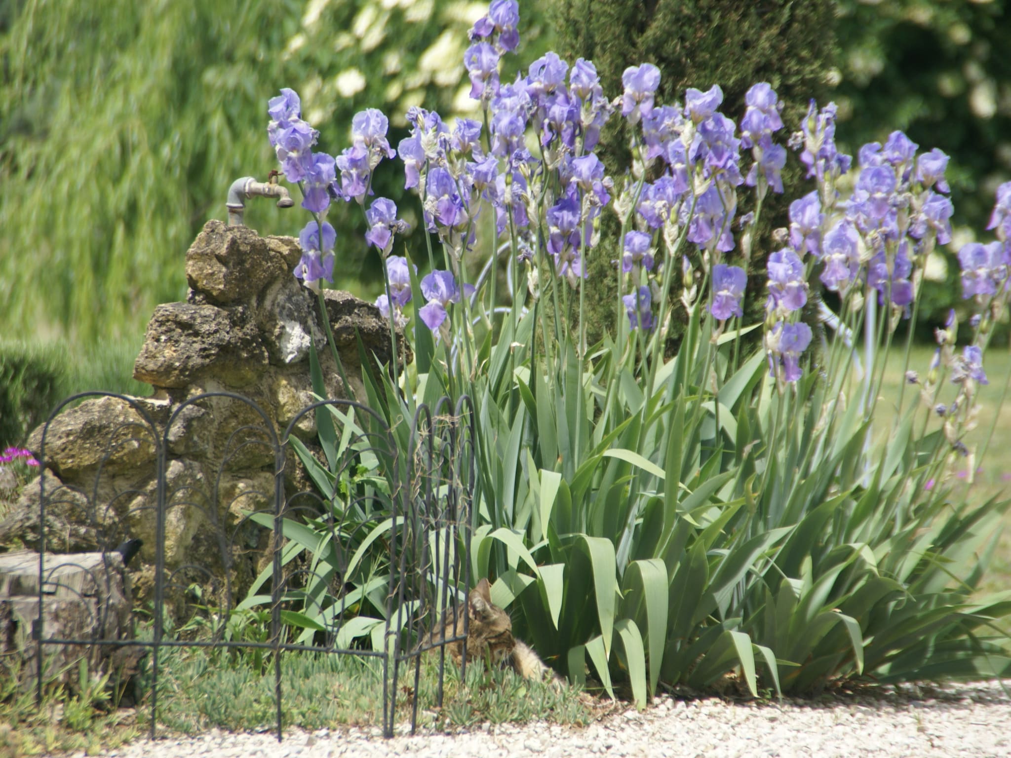   Maison de vacances Pertuis
