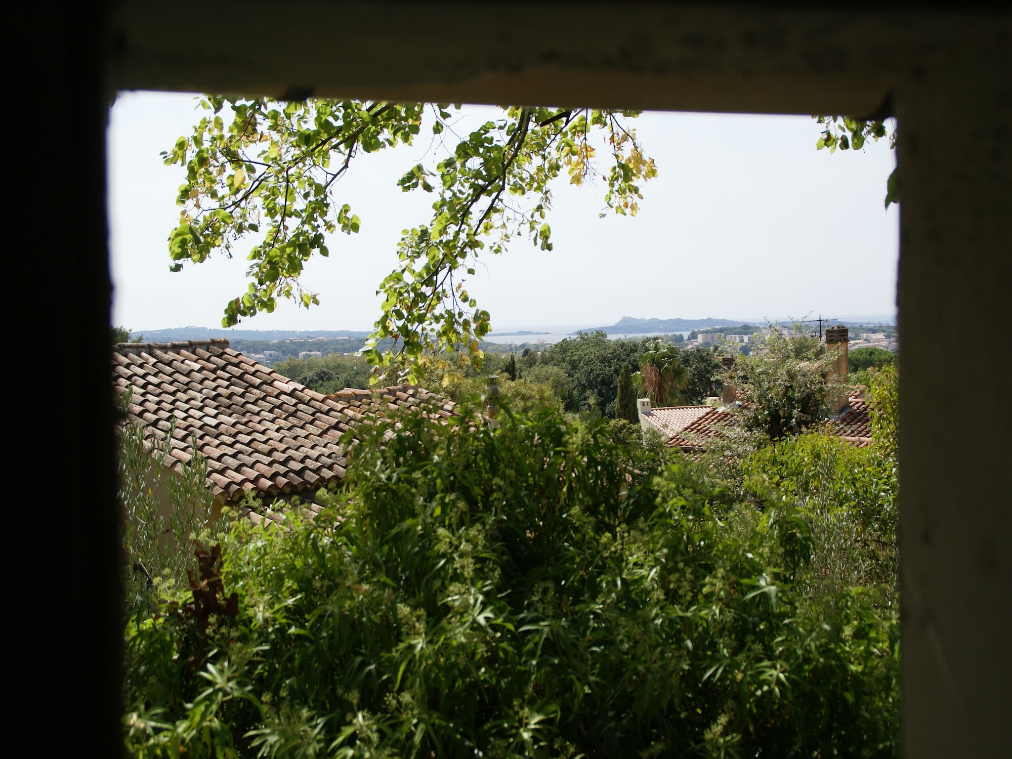   Provencal