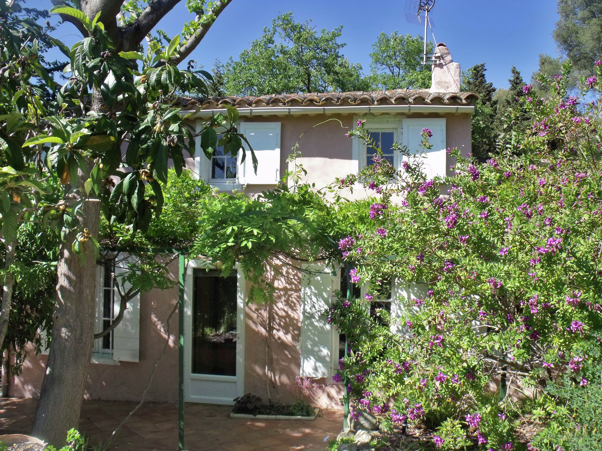   Provencal