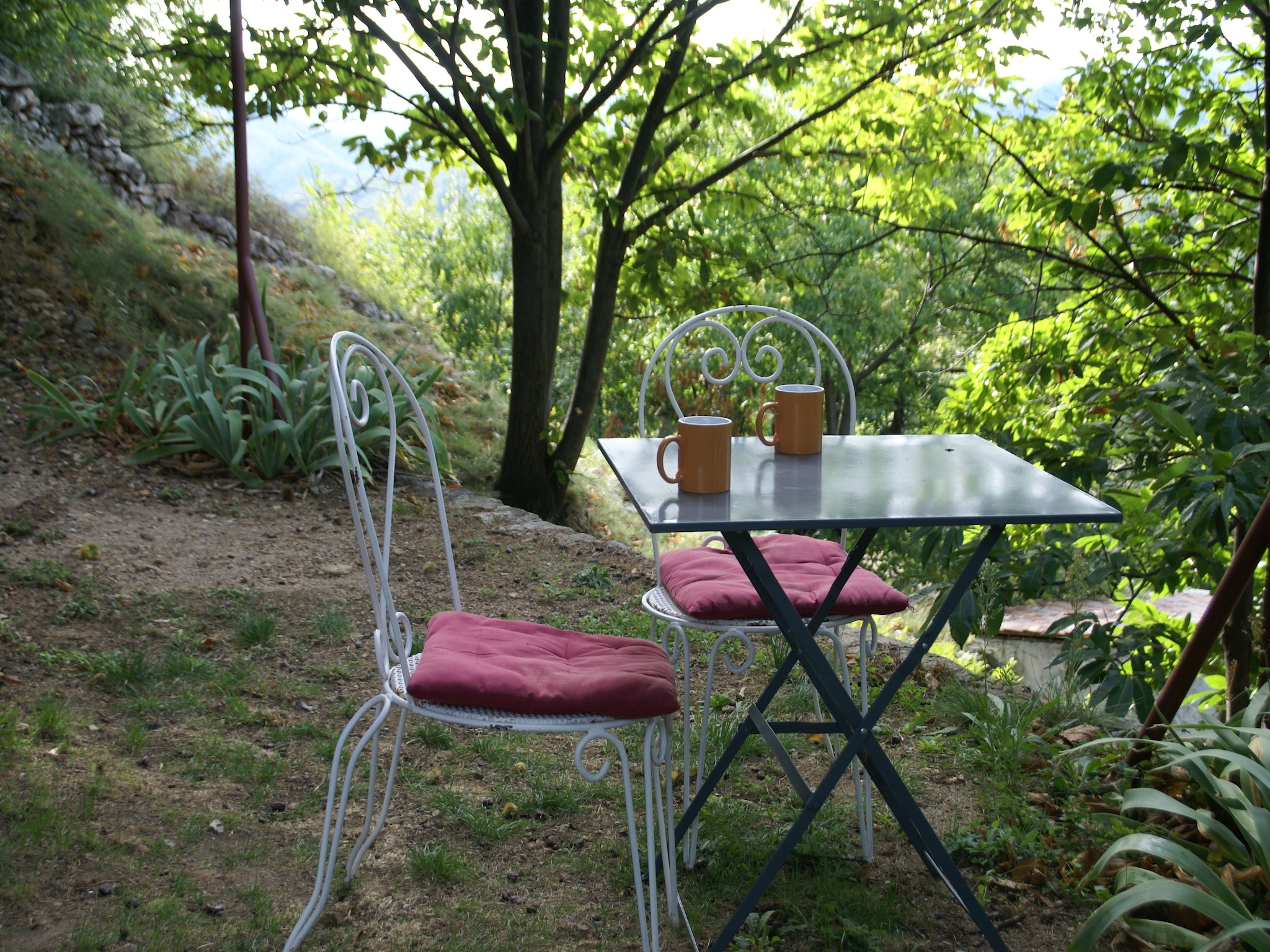   Maison de vacances - Saint-Pierre-de-Colombier