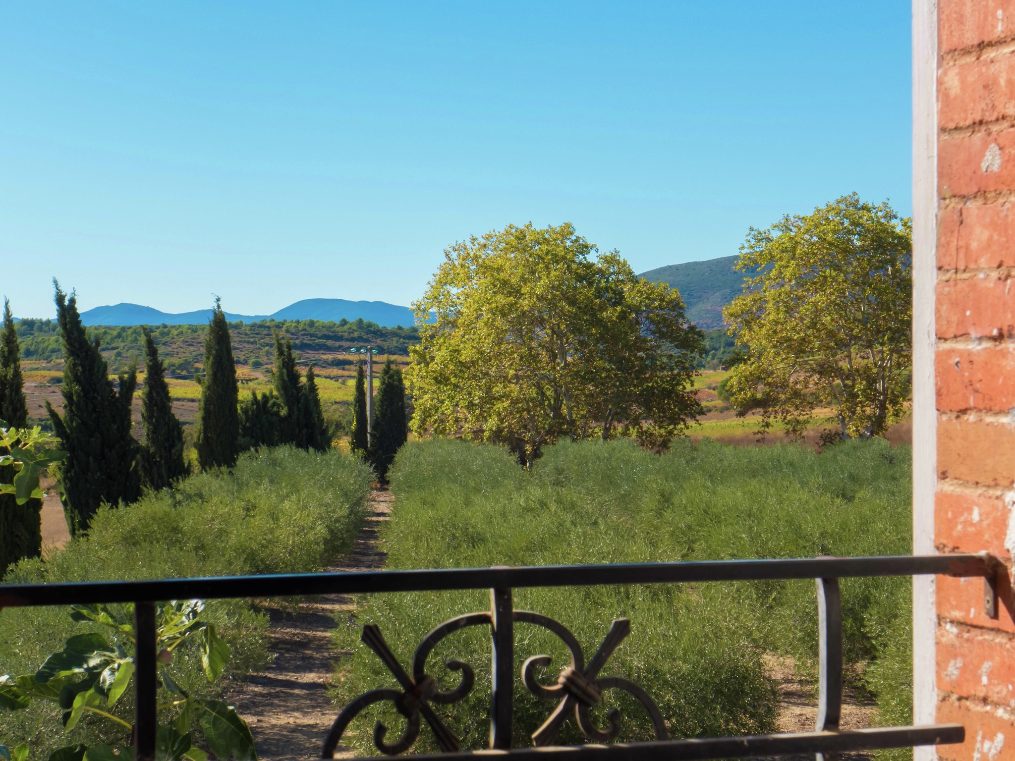   Maison de vacances - MURVIEL-LES-BEZIERS