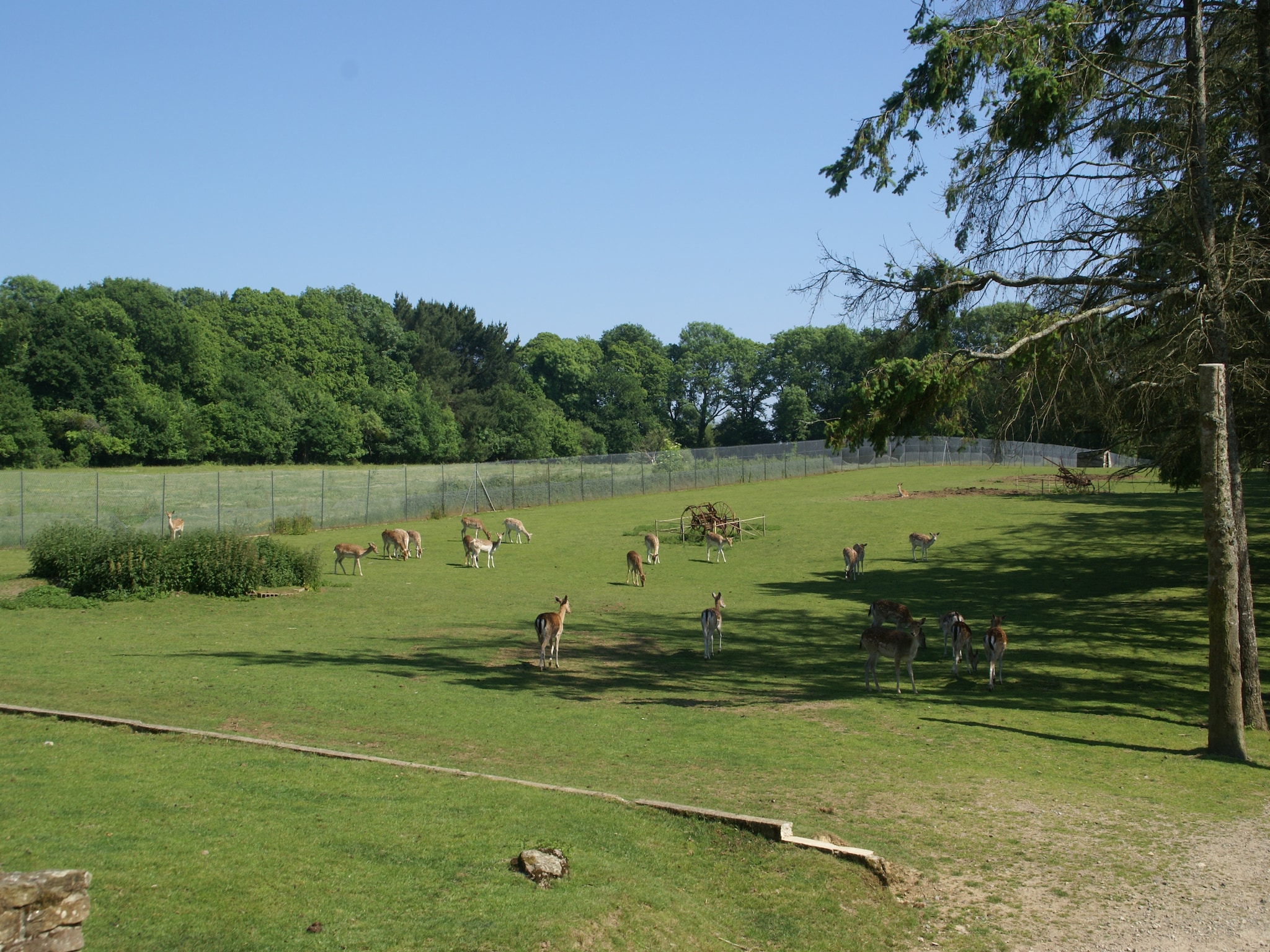   Maison mitoyenne dans un parc animalier proche mer