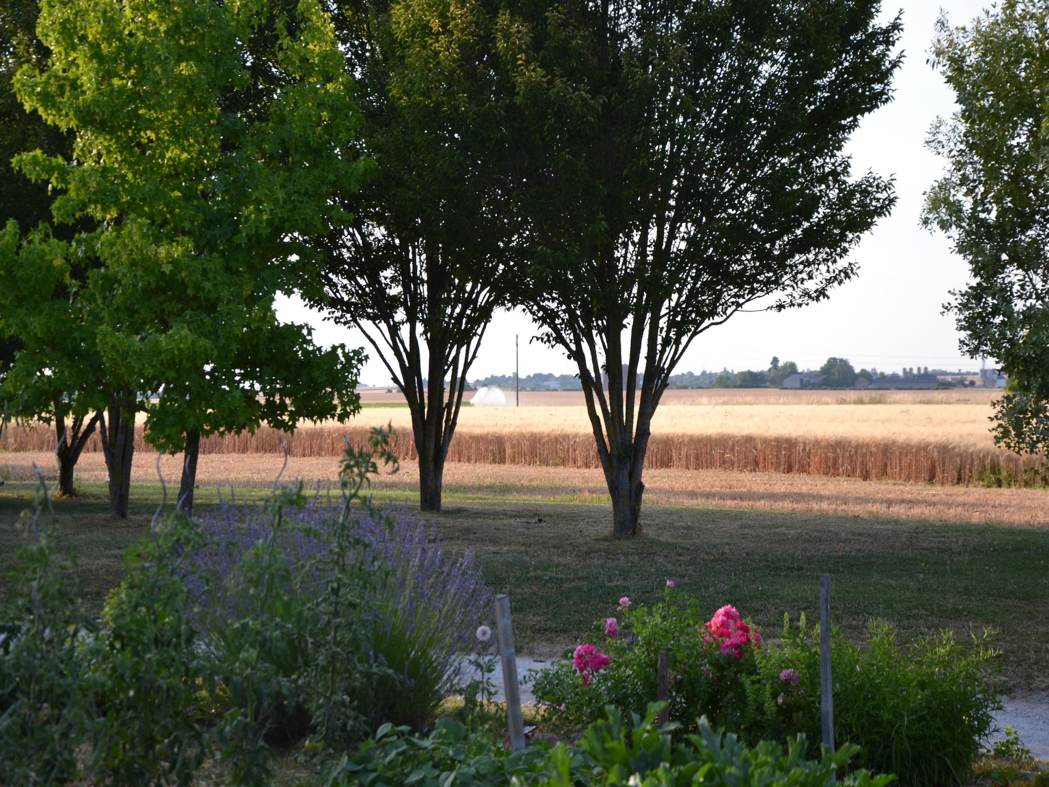   Maison de vacances - CHILLEURS-AUX-BOIS