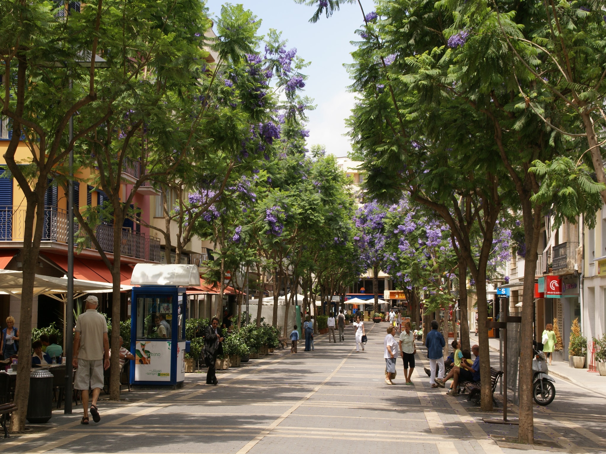 Apartamento Montecarlo