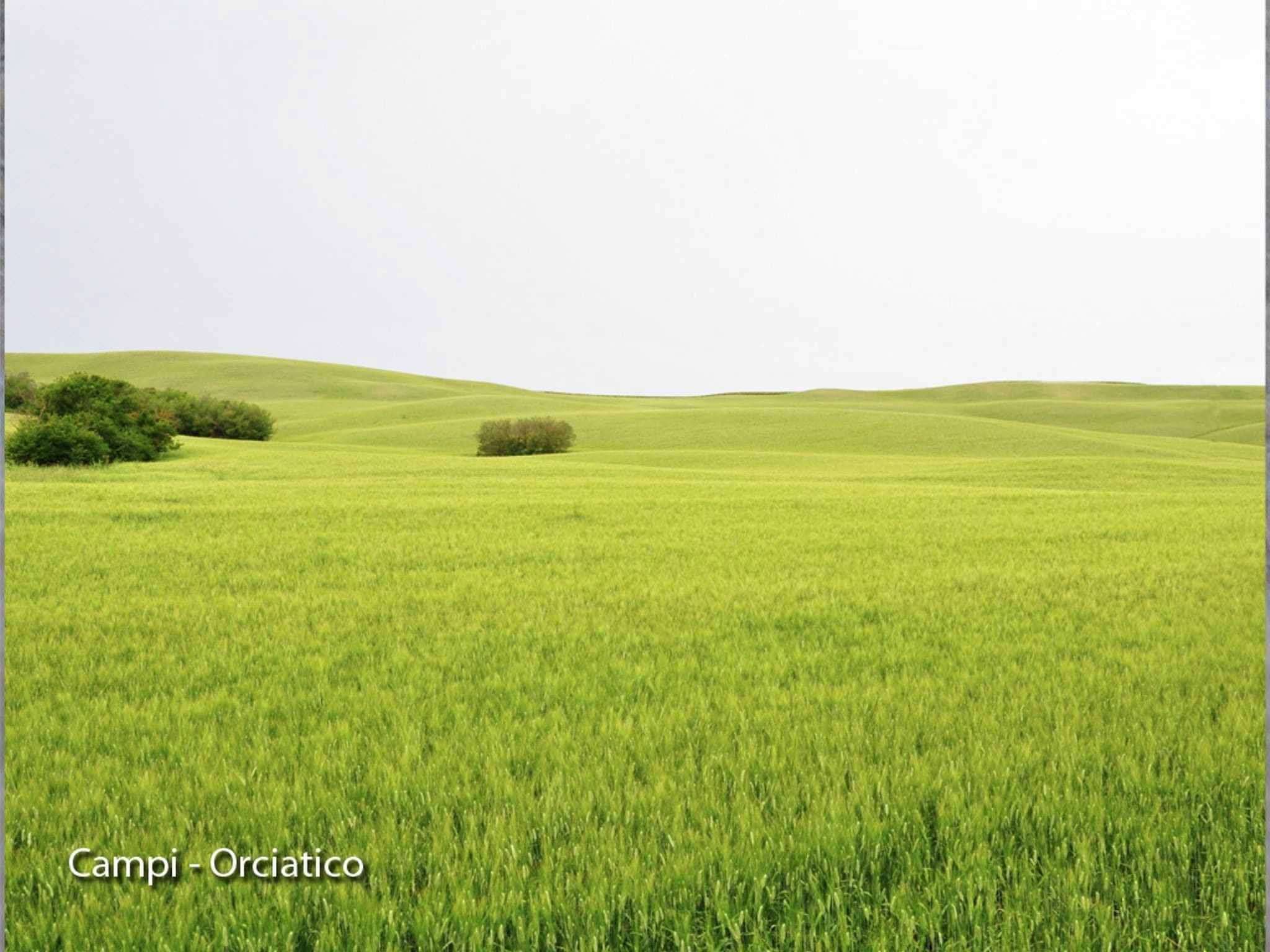 公寓 San Francesco Tre
