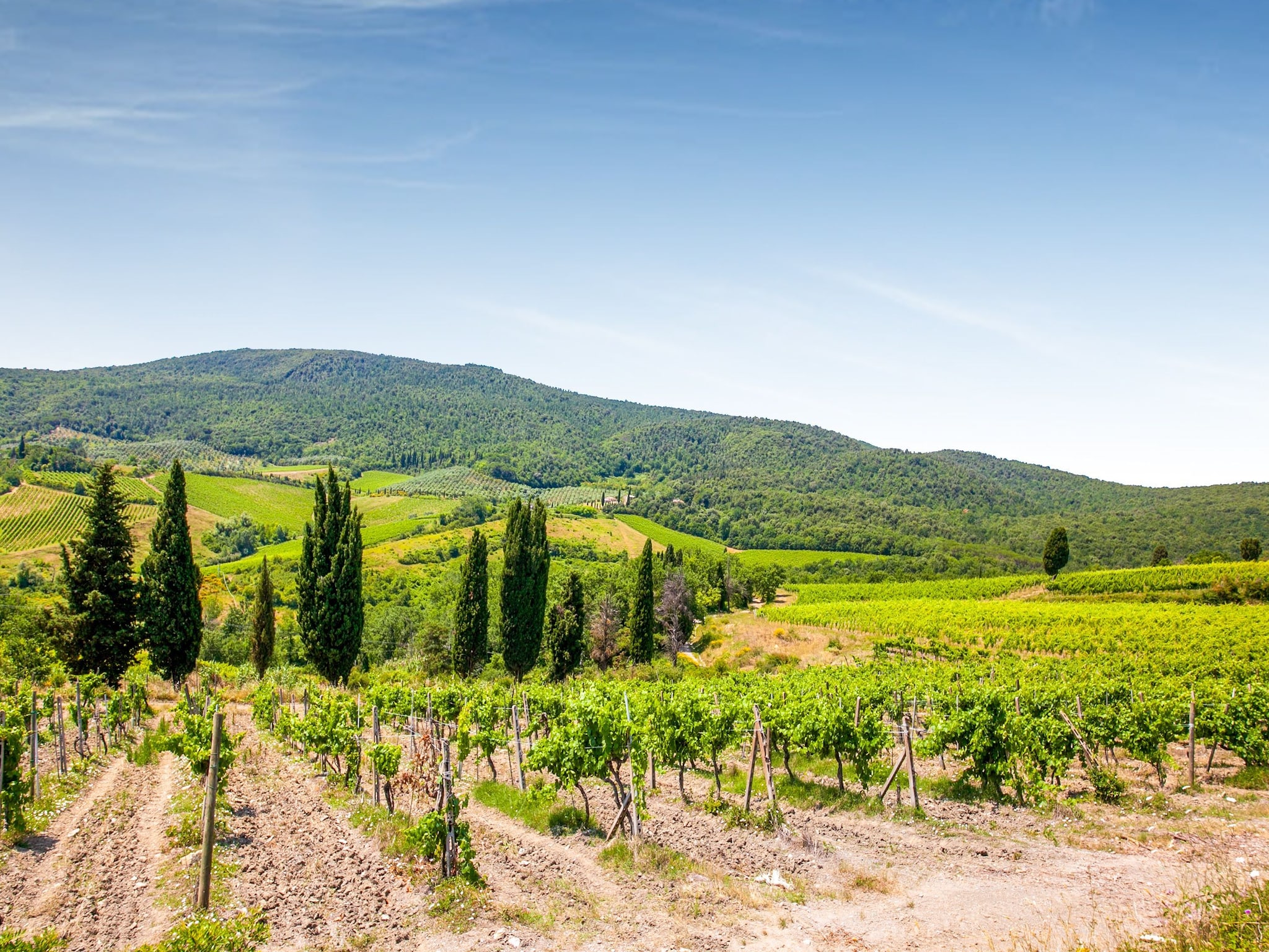 公寓 San Francesco Sangiovese