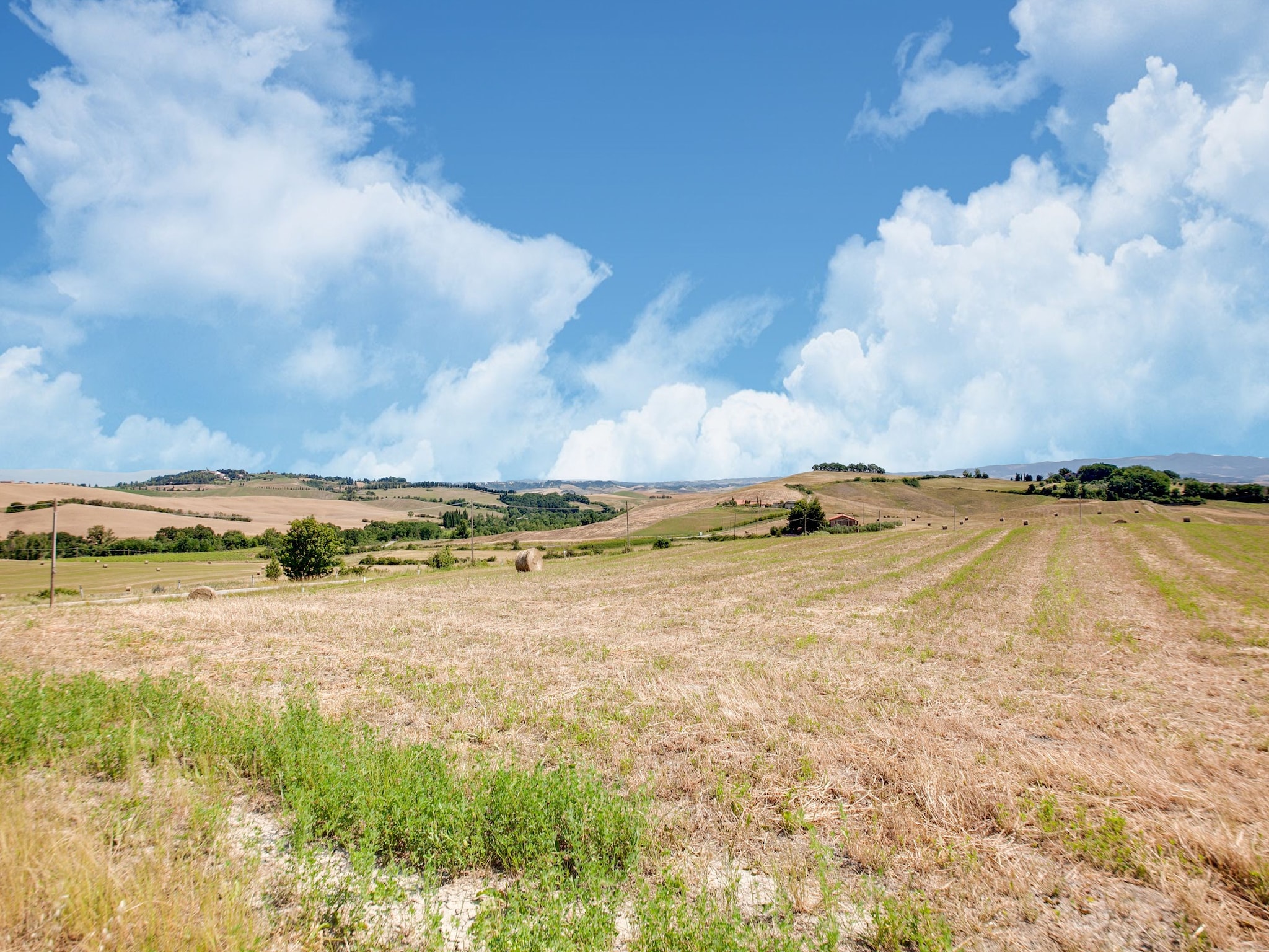 公寓 San Francesco Vermentino