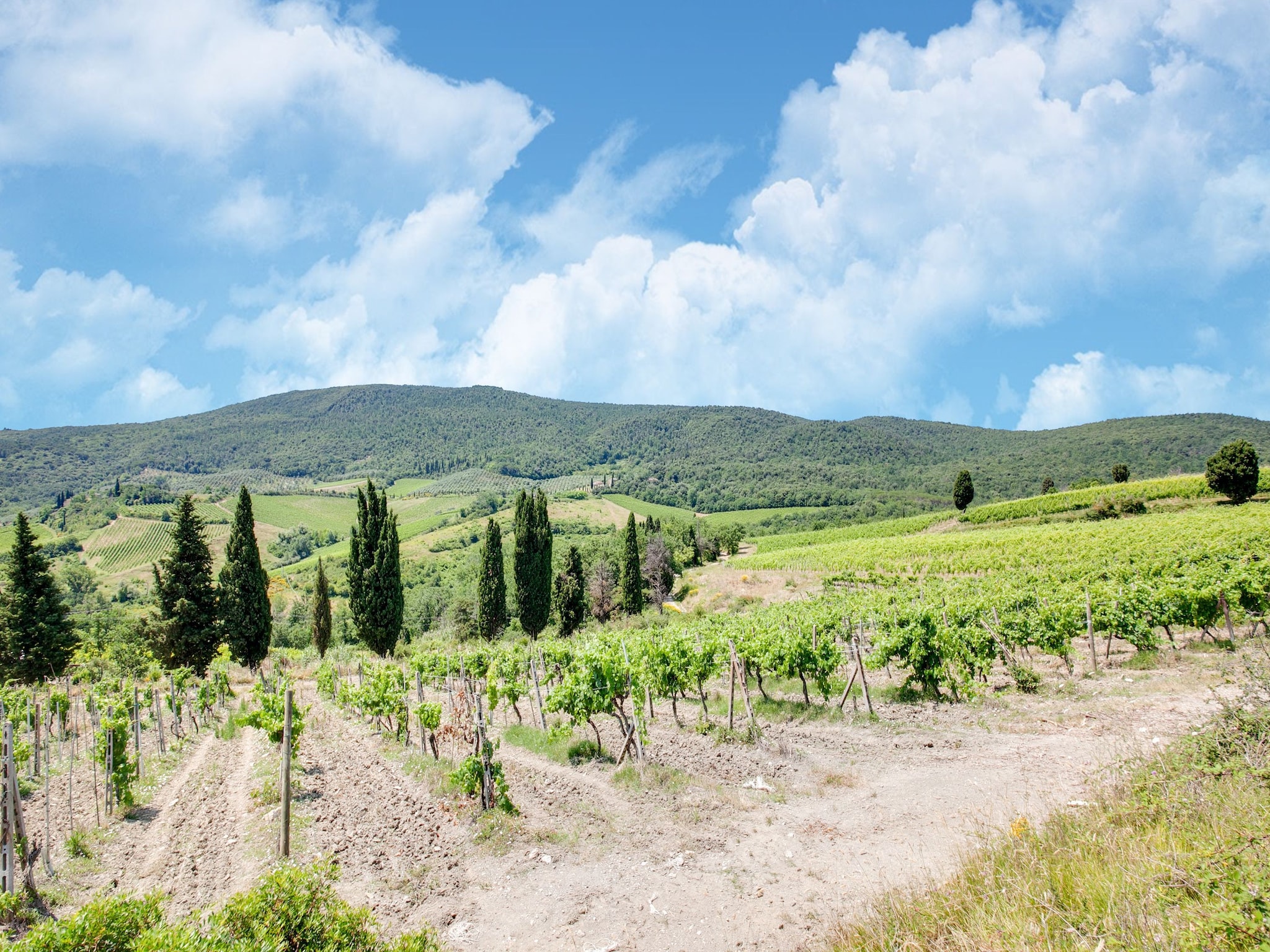 公寓 San Francesco Vermentino