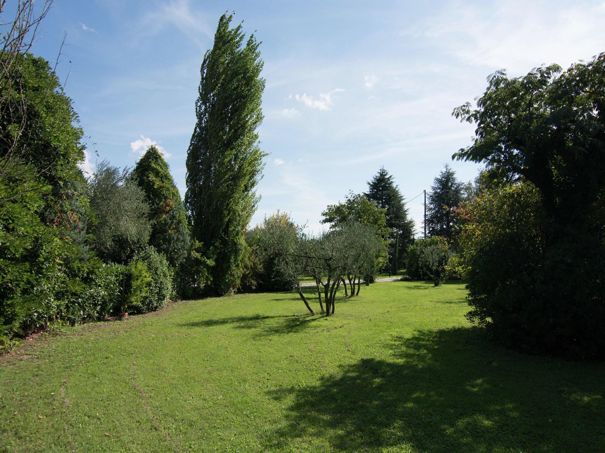   Loggia
