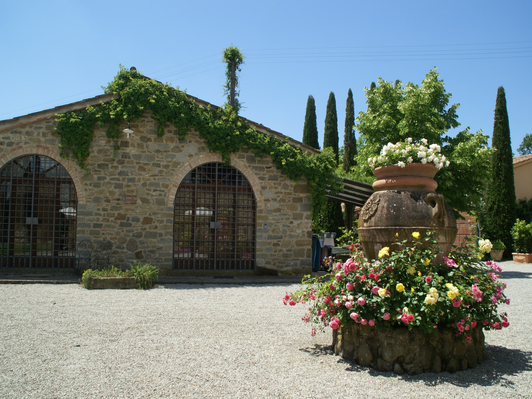   Cicerchia