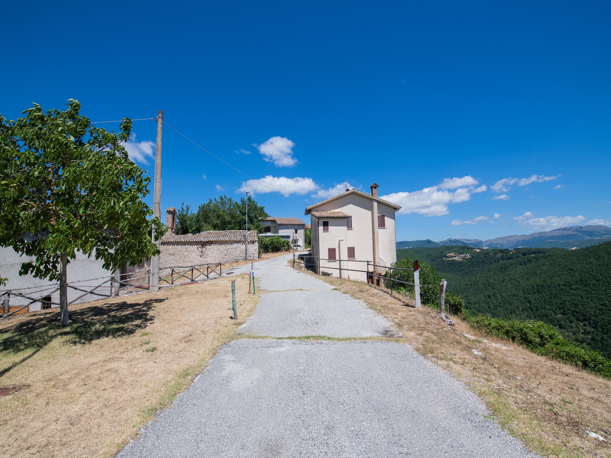   Fonni Verde