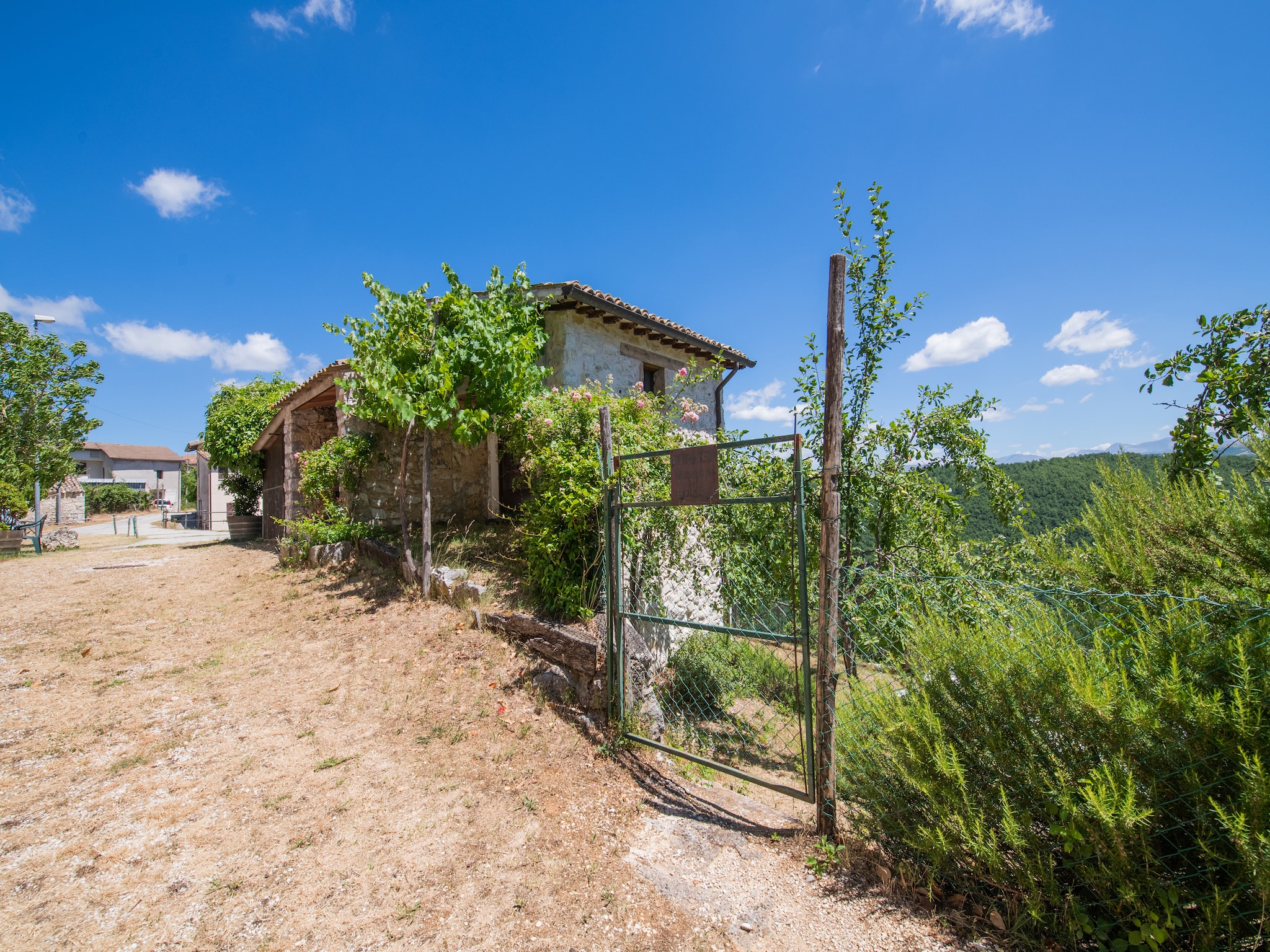   Fonni Verde