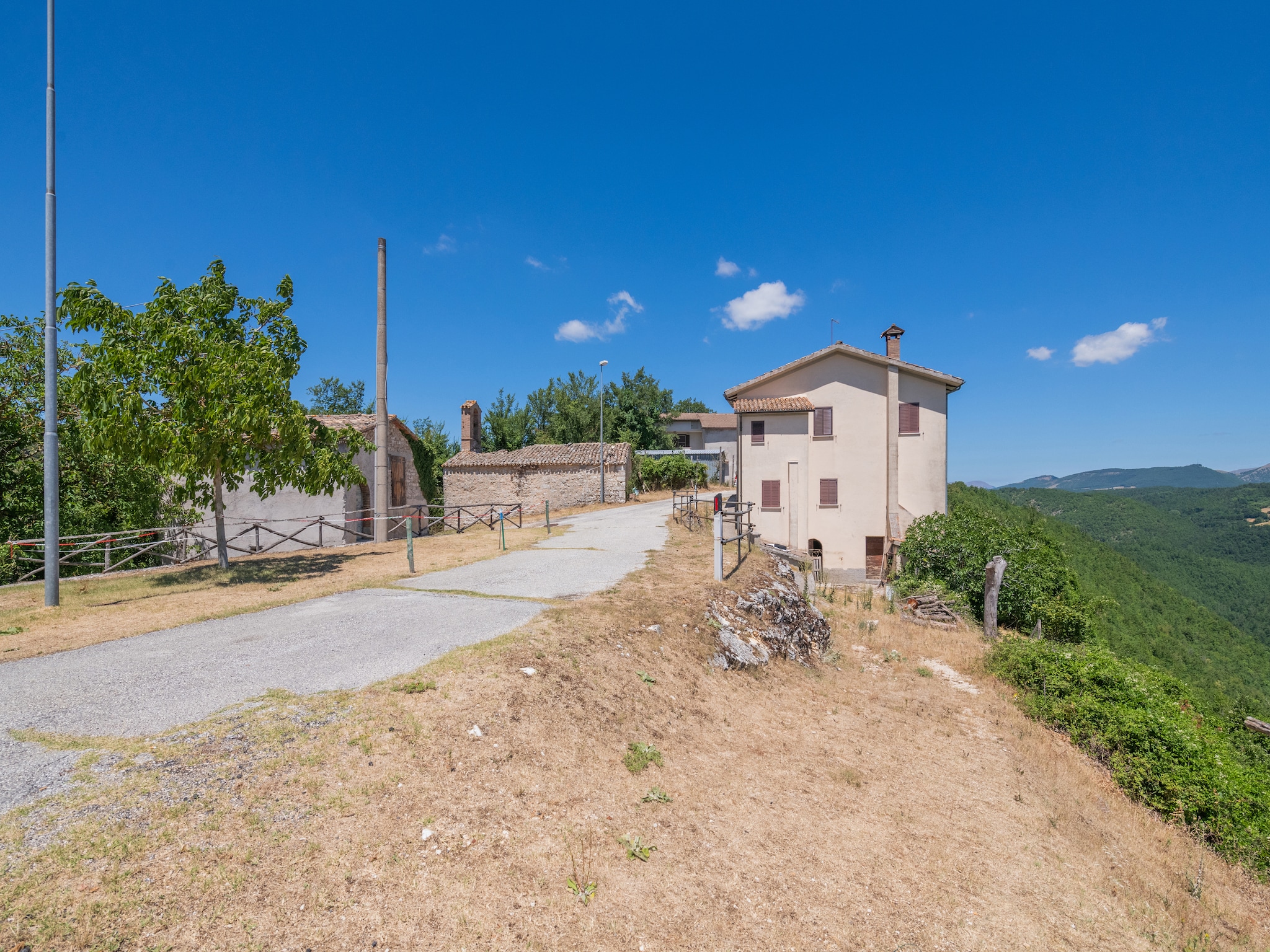   Fonni Verde