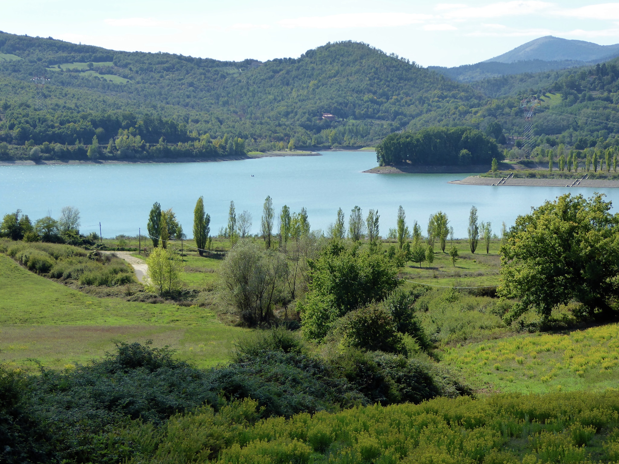   Quercia Undici