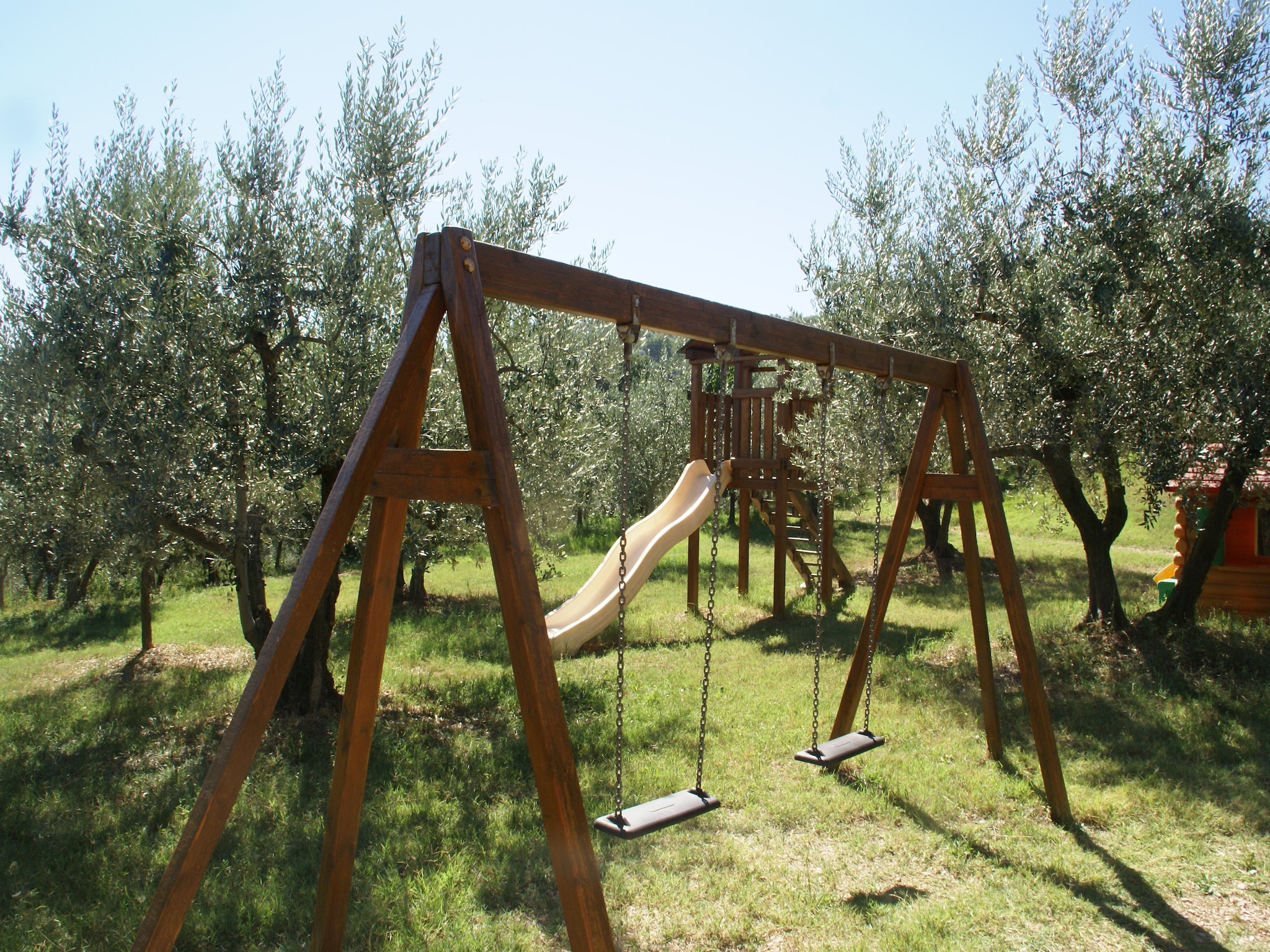   Macina Bettona Frantoio