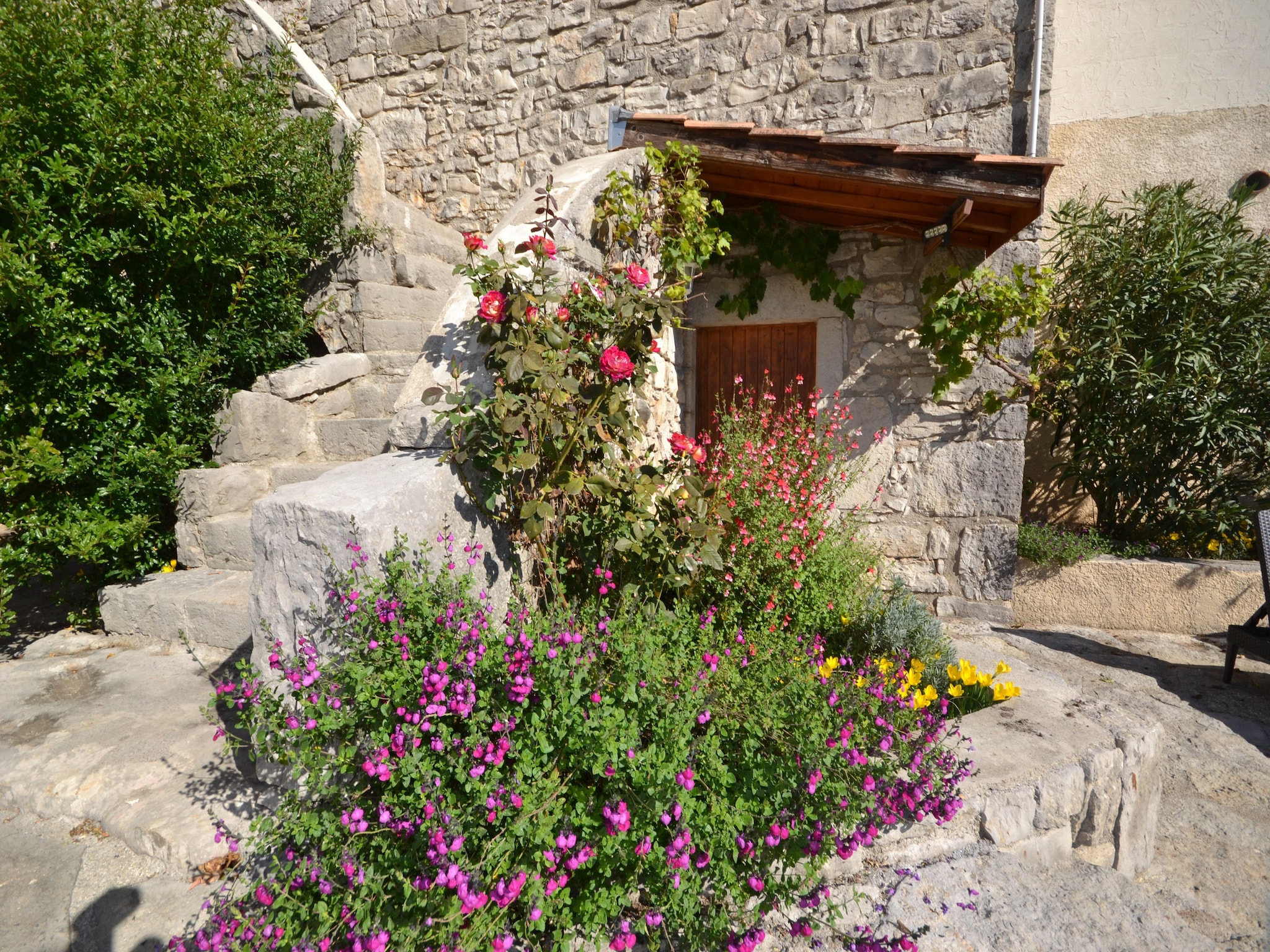   Appartement de plain pied