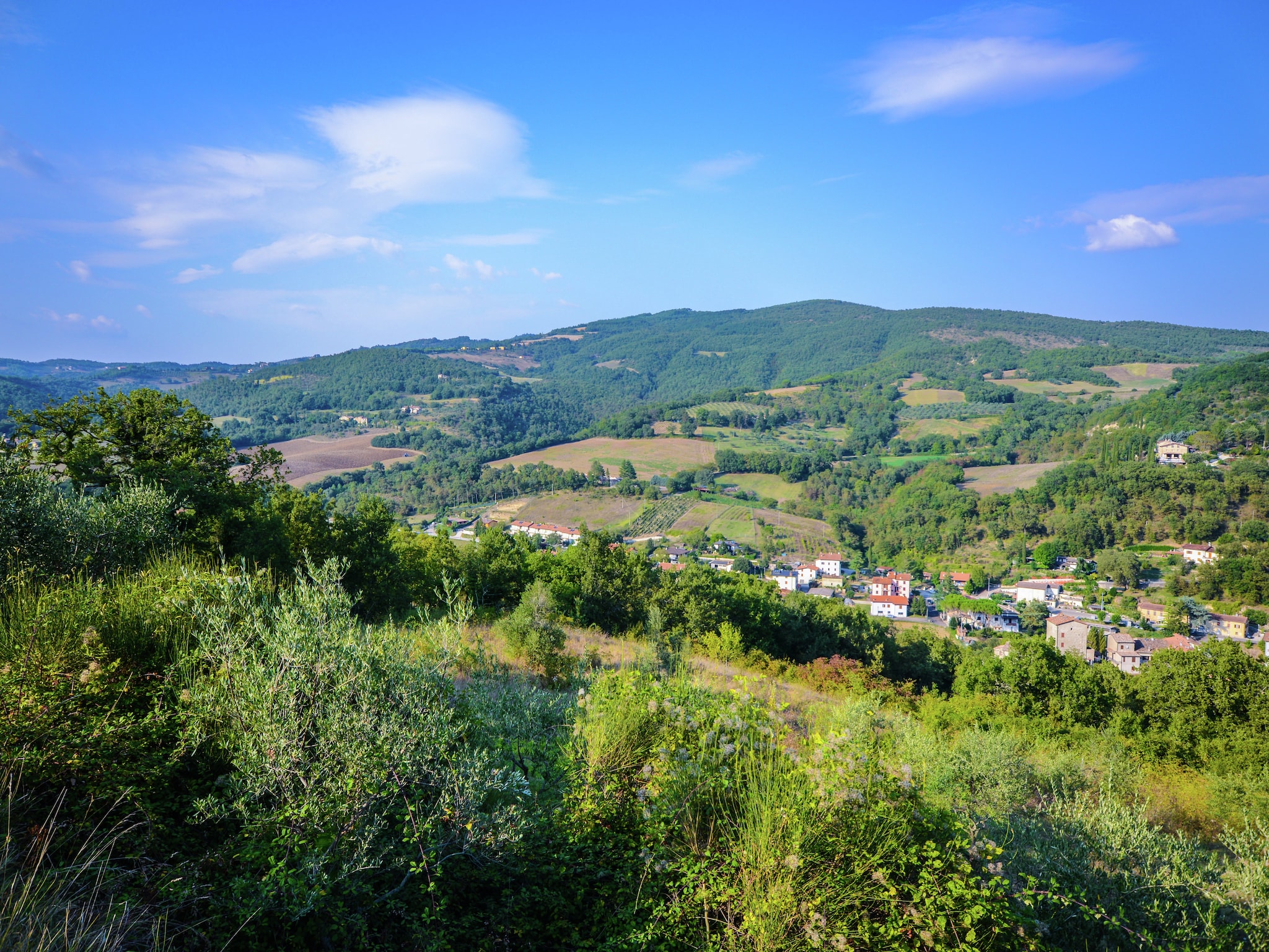   Rocca