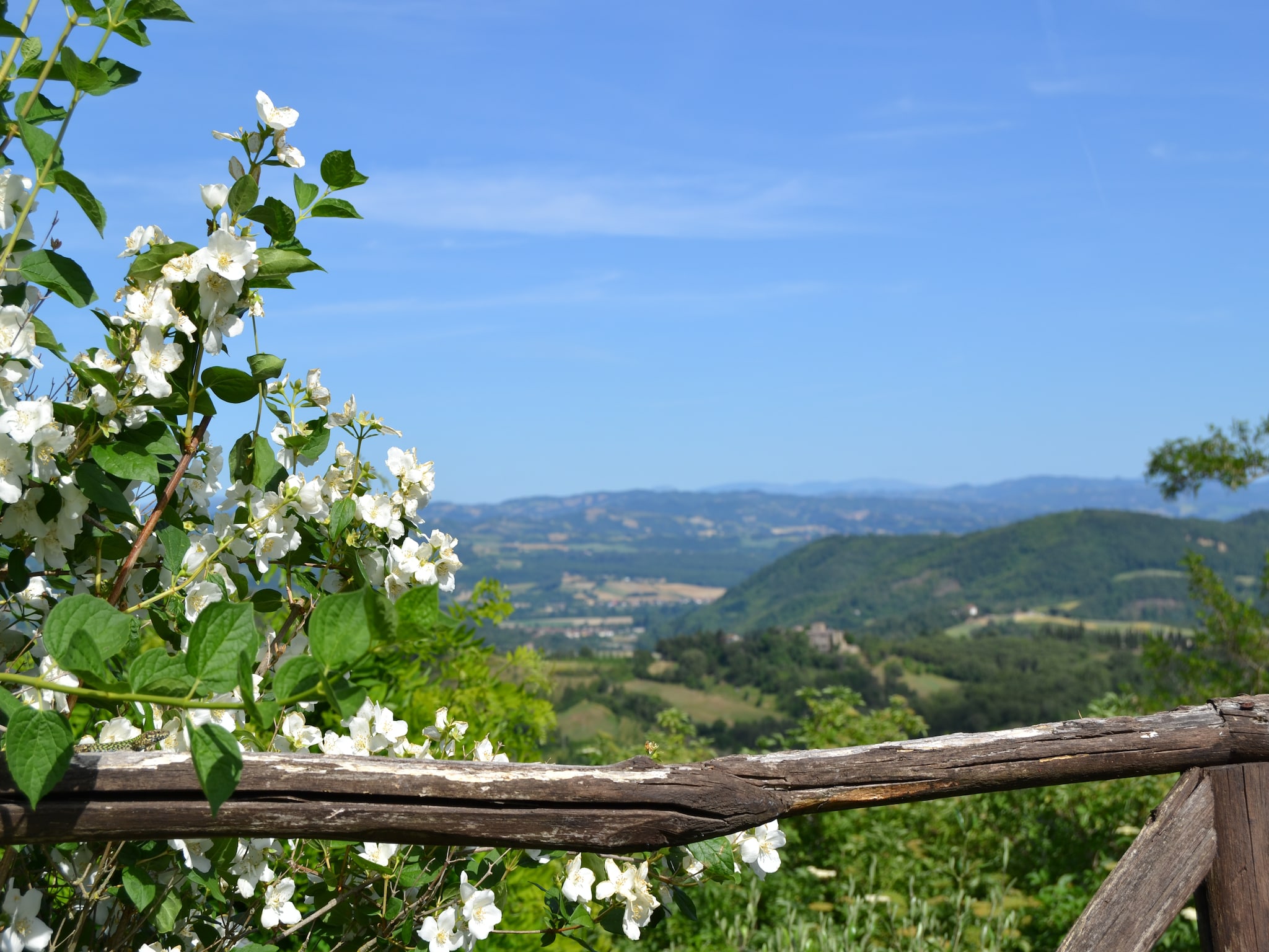   Loggia