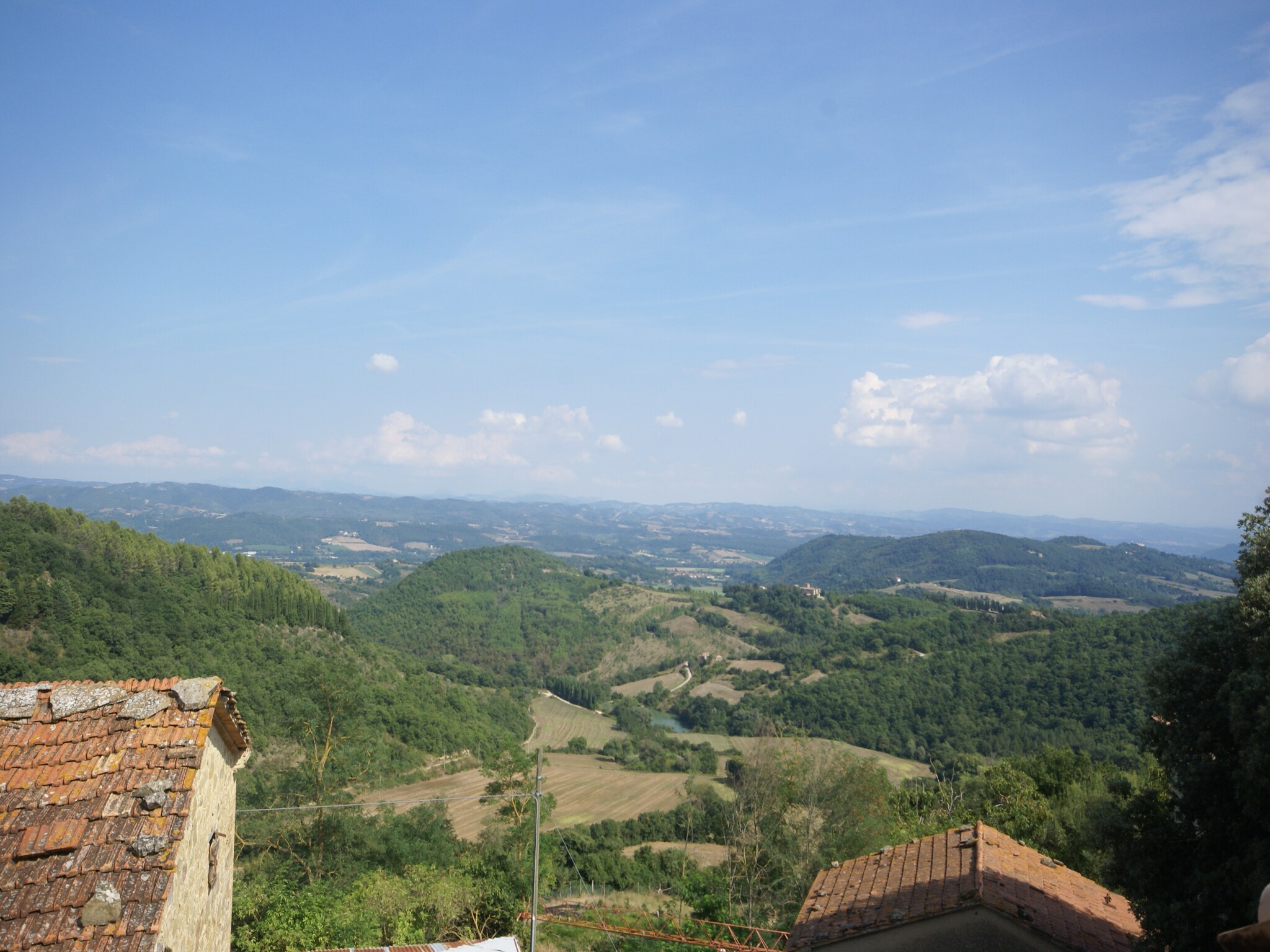   Belvedere
