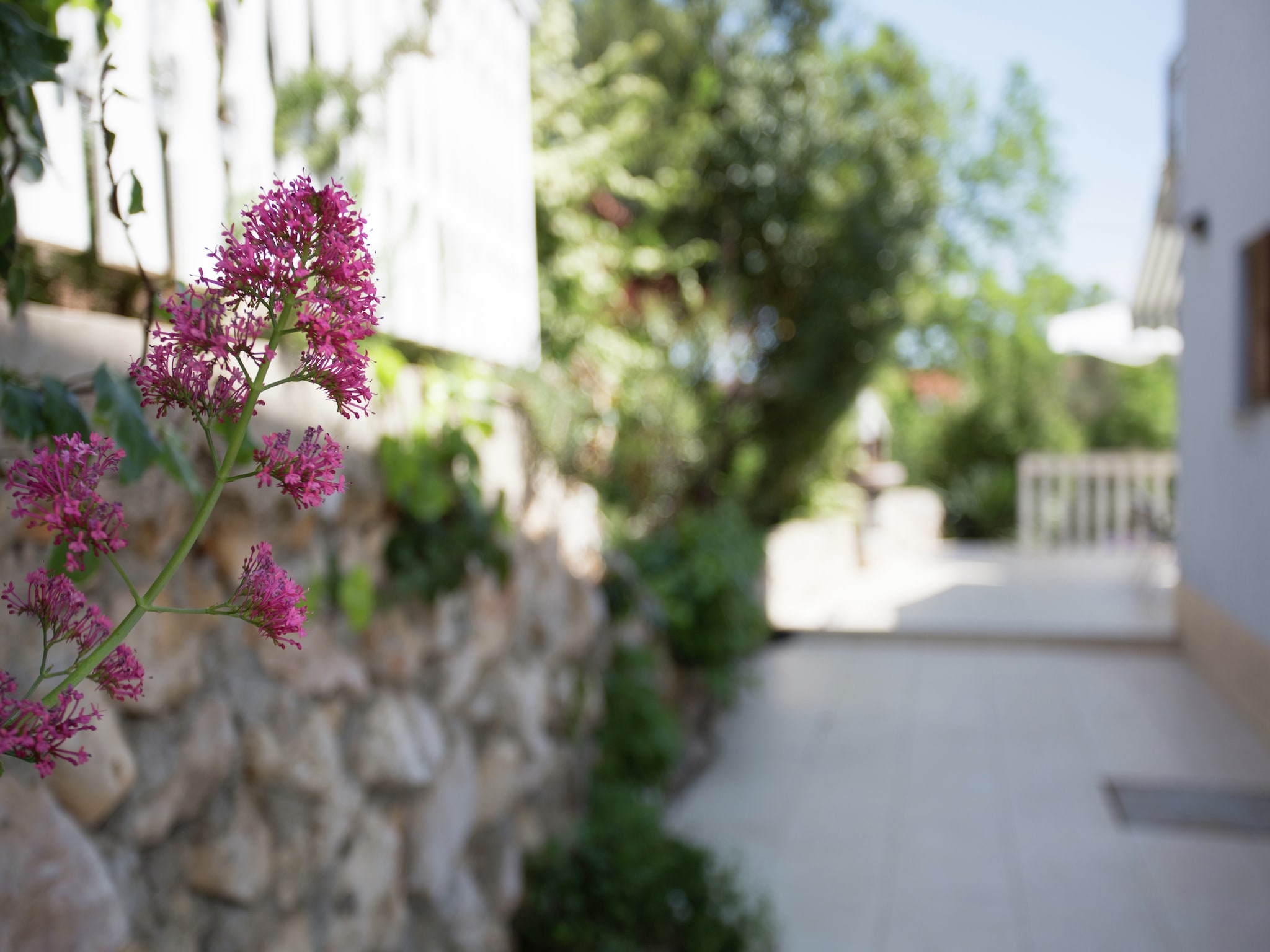 Apartmá Cekovic