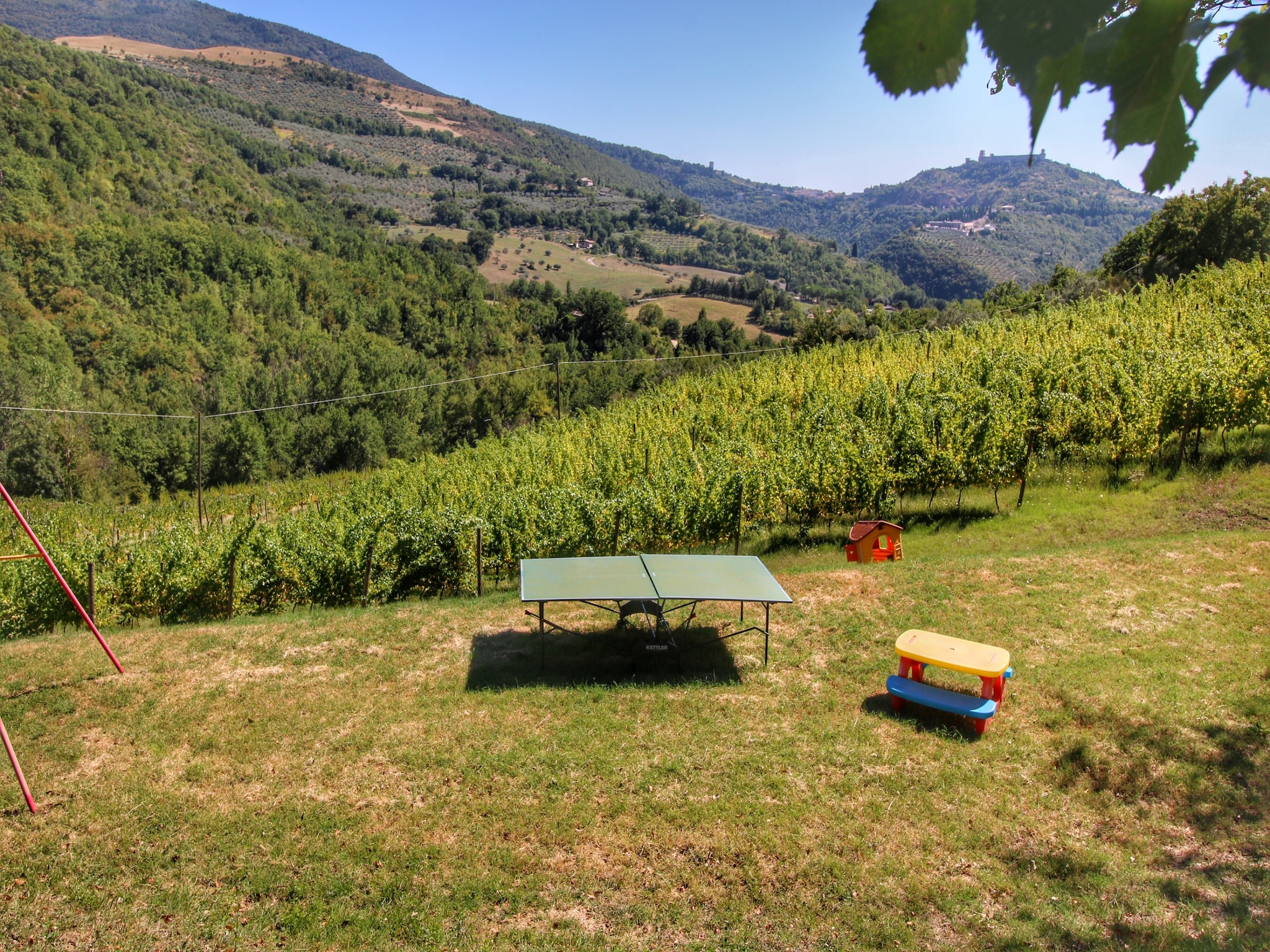   Rosmarino e Salvia