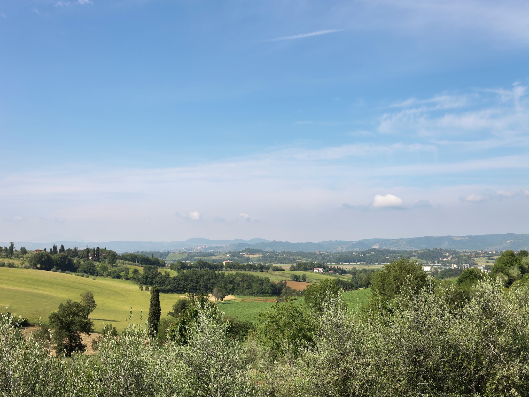   Castagno della Civetta