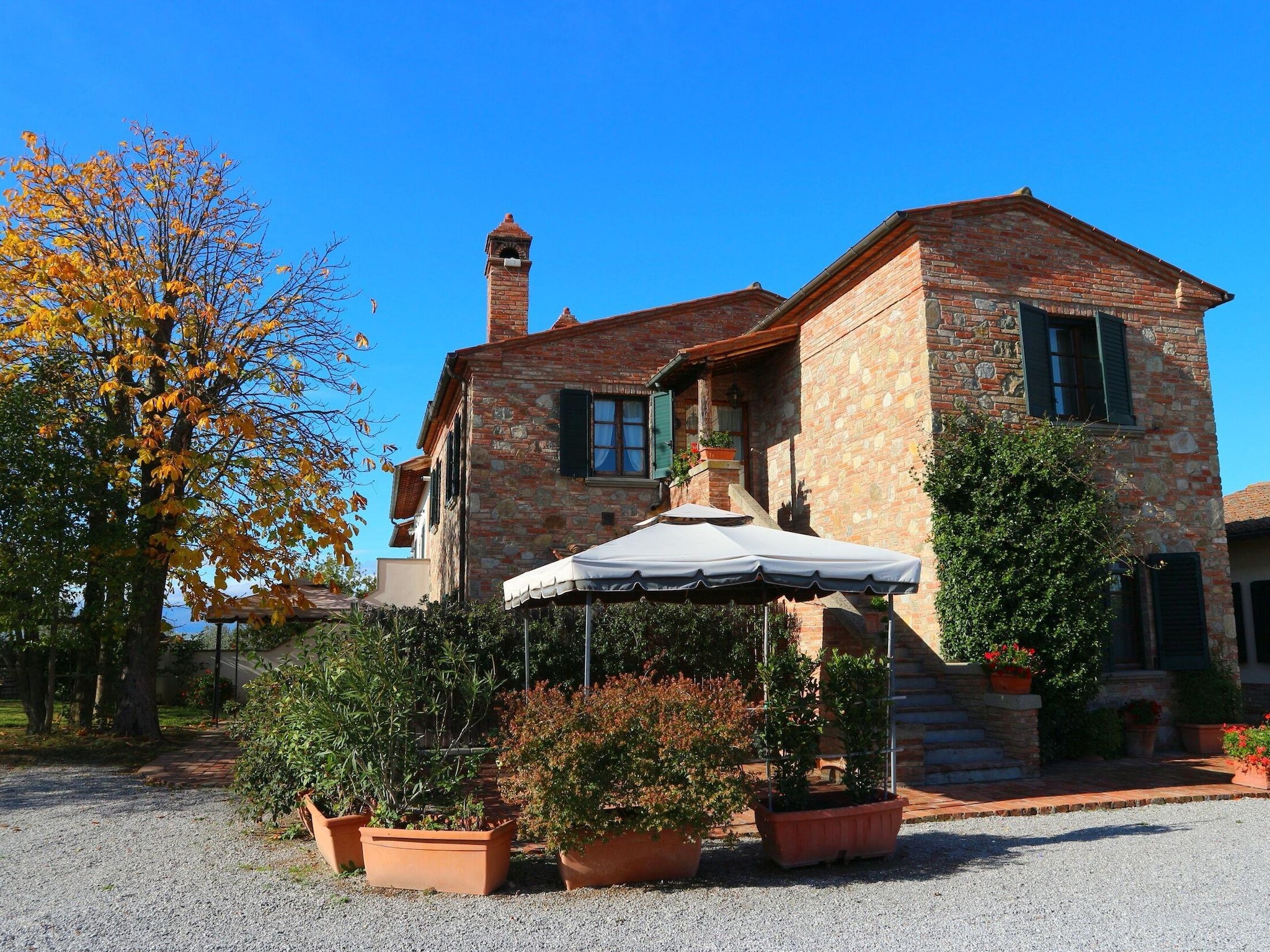   Castagno della Civetta