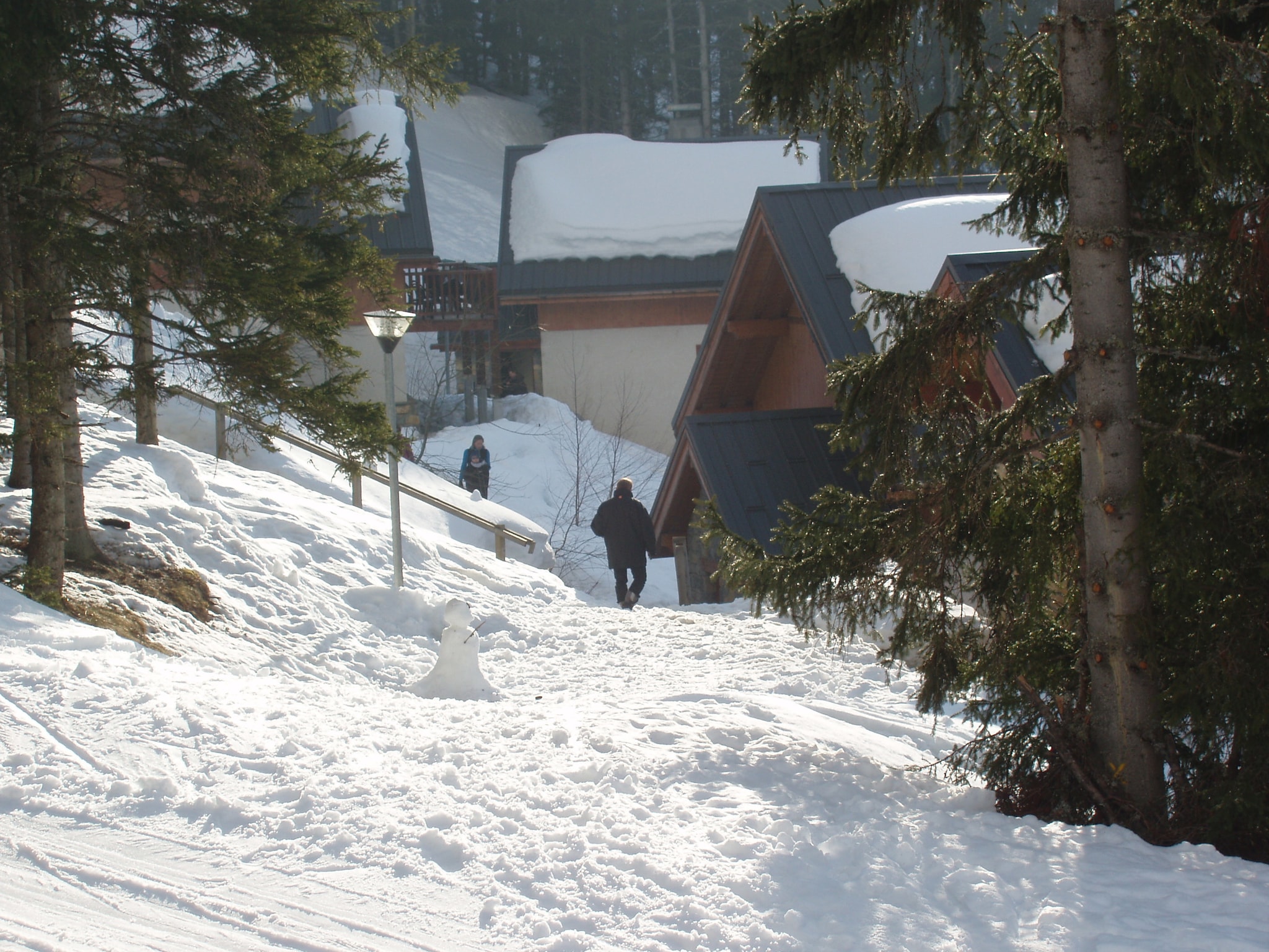 Vacation home Chalet - Oz-en-Oisans