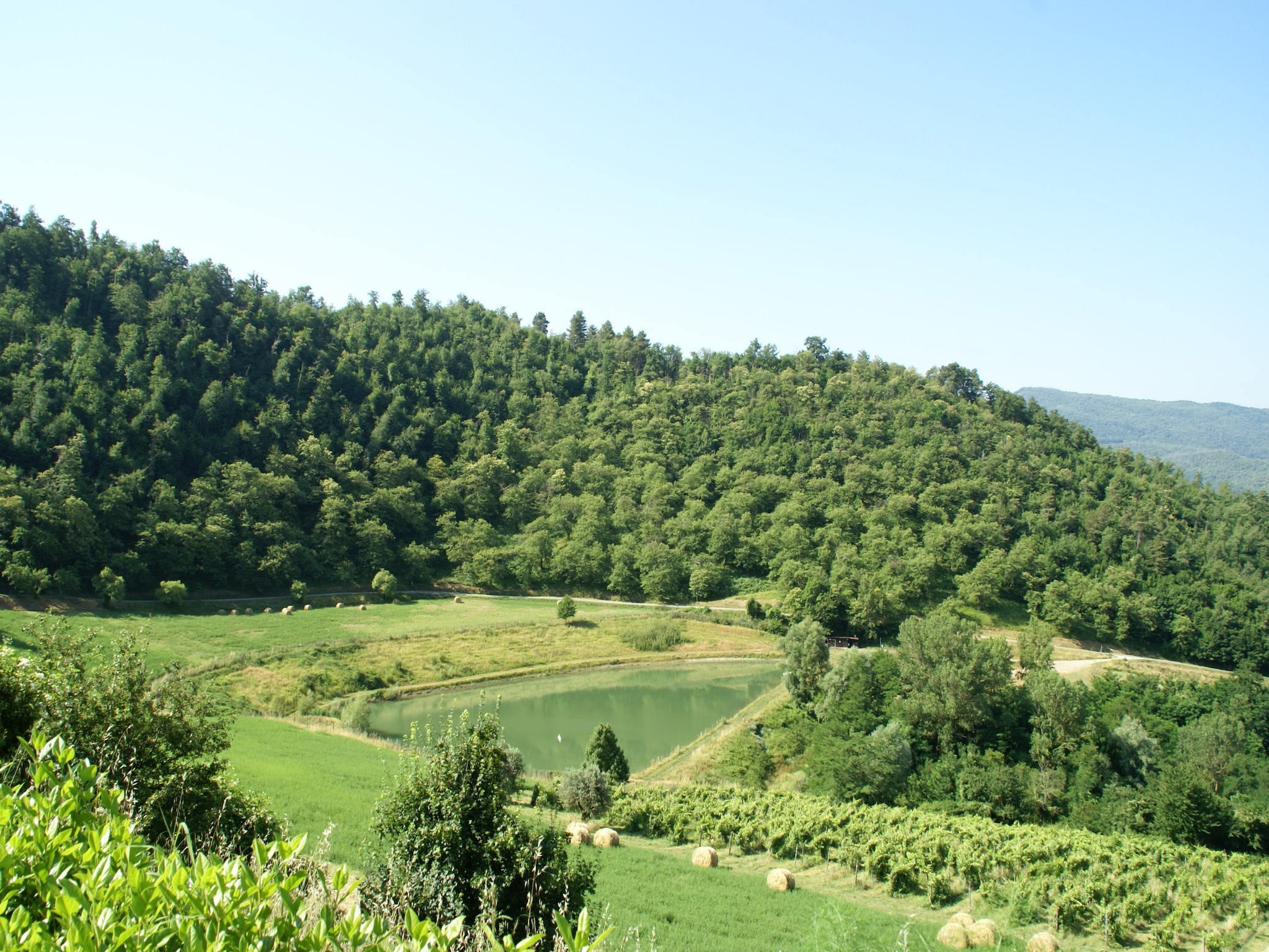 Casa di vacanze Giotto