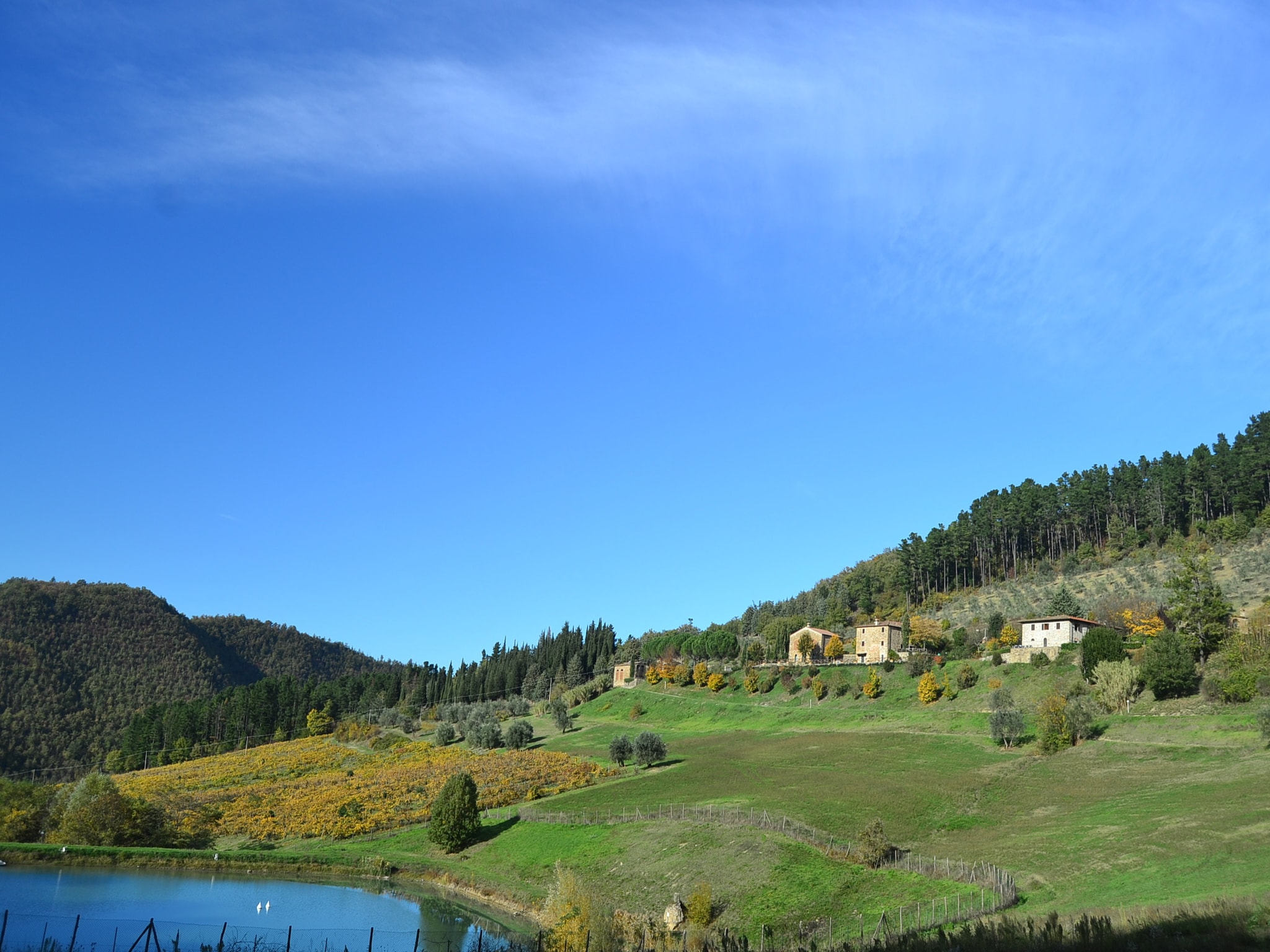 Casa di vacanze Giotto