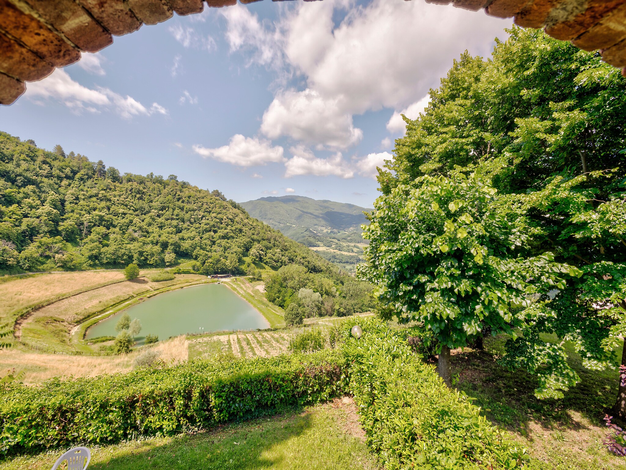   Castagno